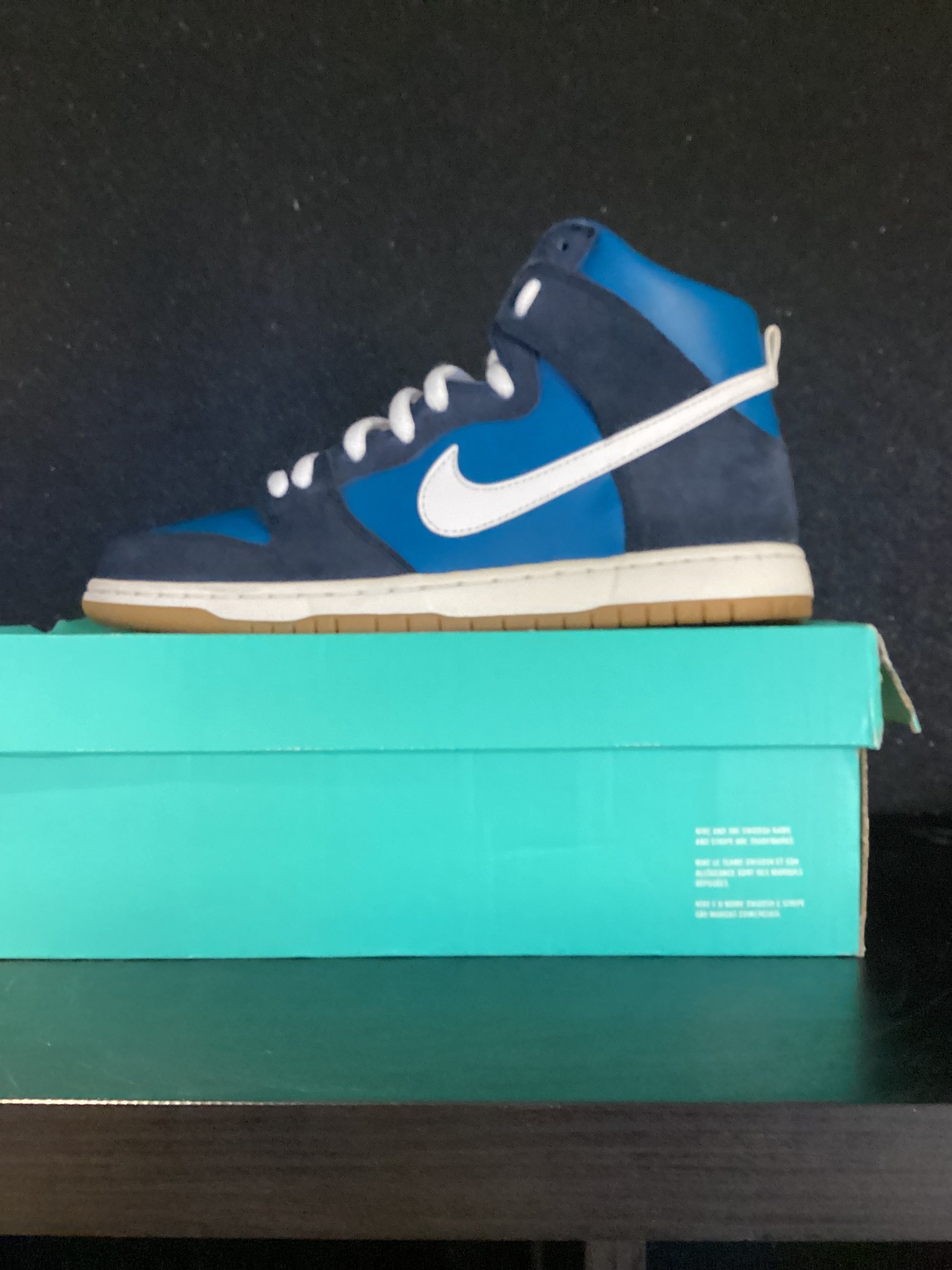 Nike SB Zoom Dunk High Pro Size 10 Preowned