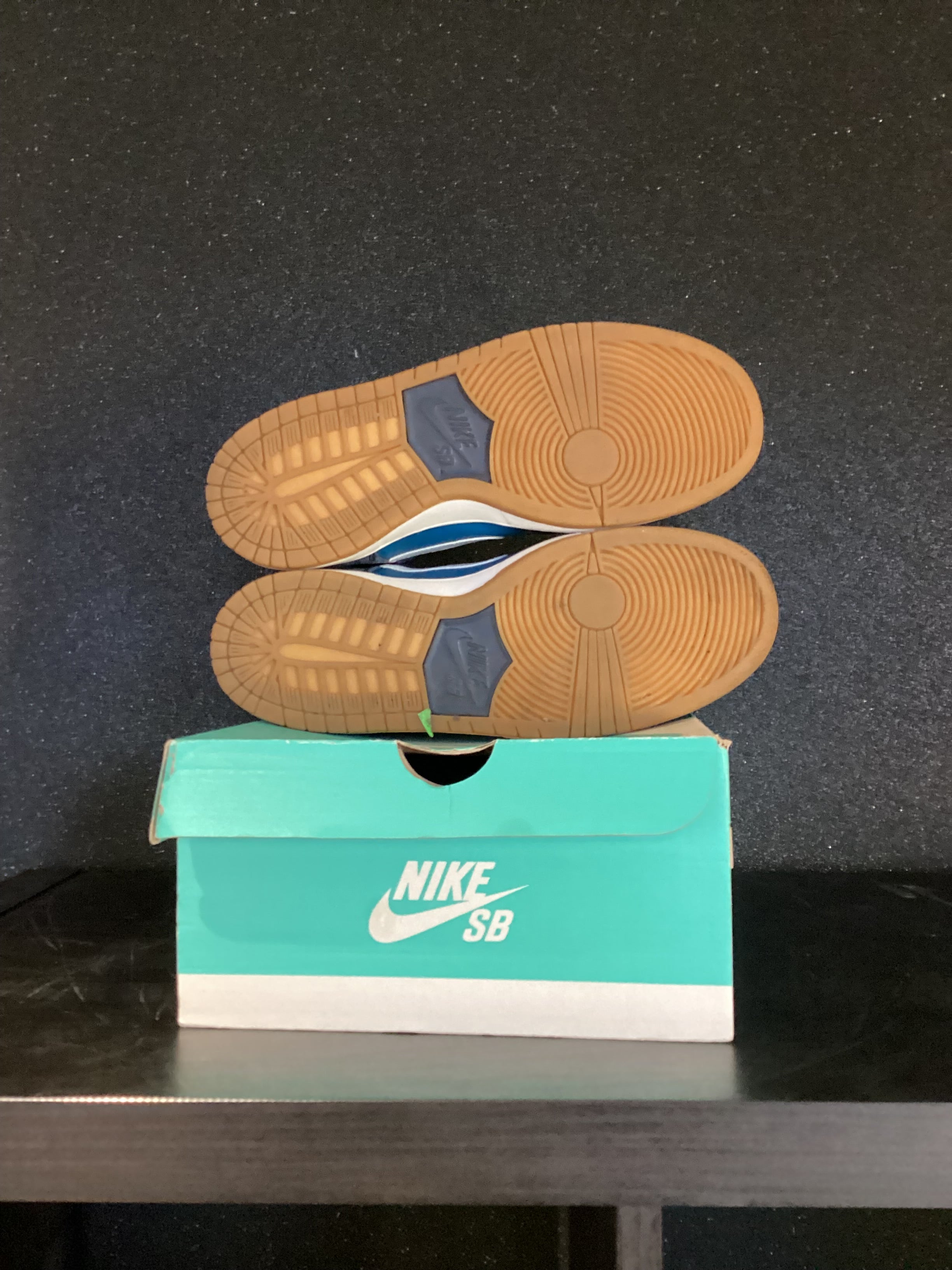 Nike SB Zoom Dunk High Pro Size 10 Preowned
