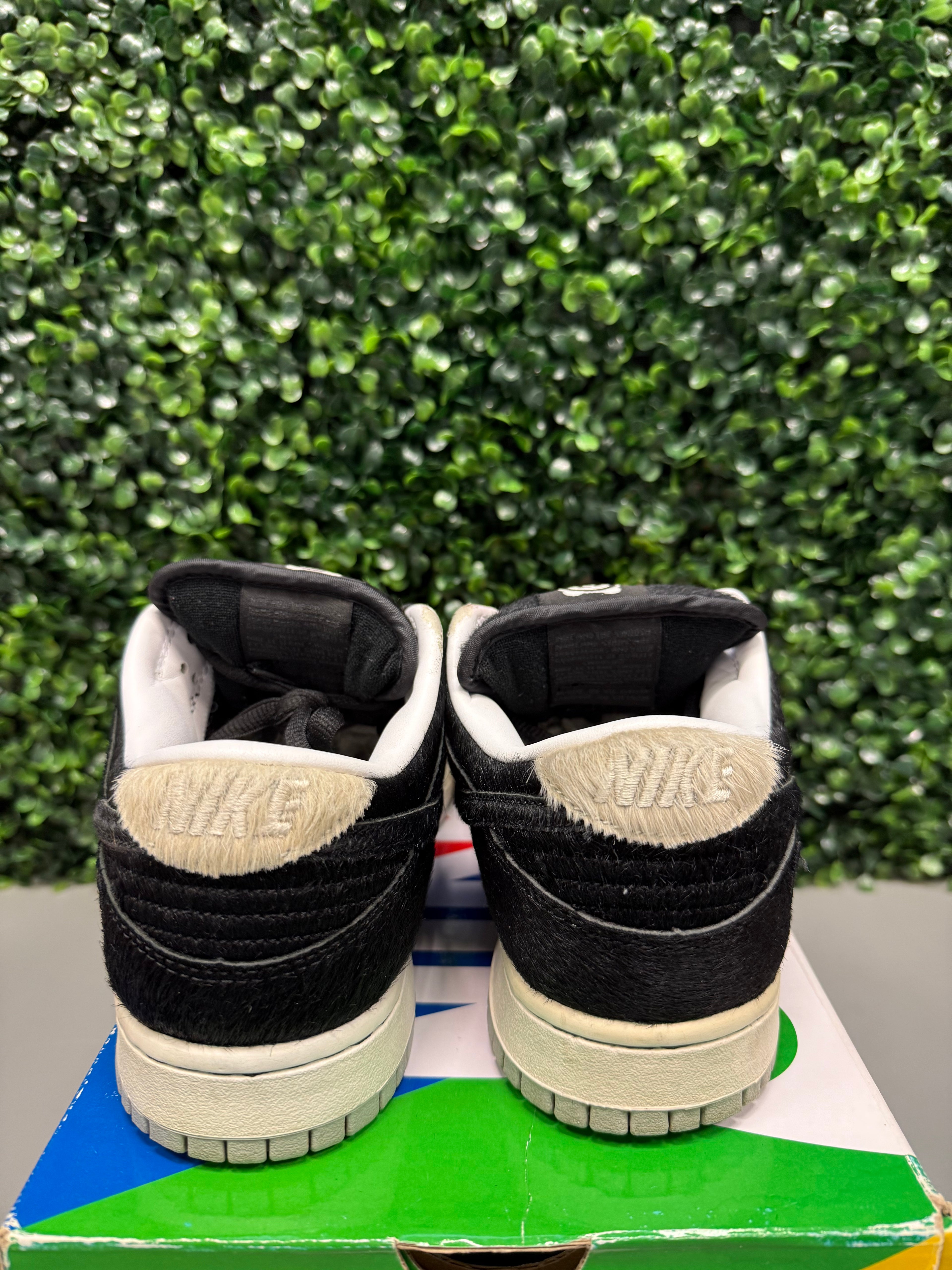 Nike SB Dunk Low "Medicom Toy" Size 9 Preowned