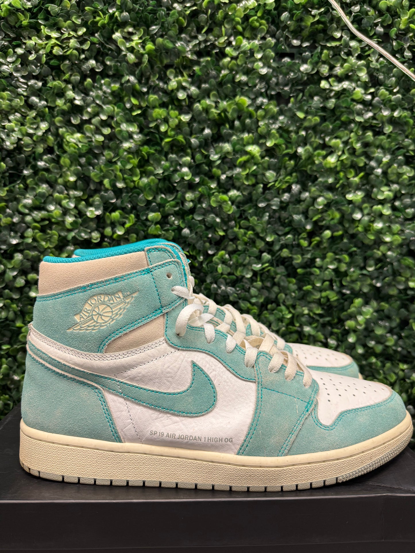 Jordan 1 High "Turbo Green" Size 12 Preowned