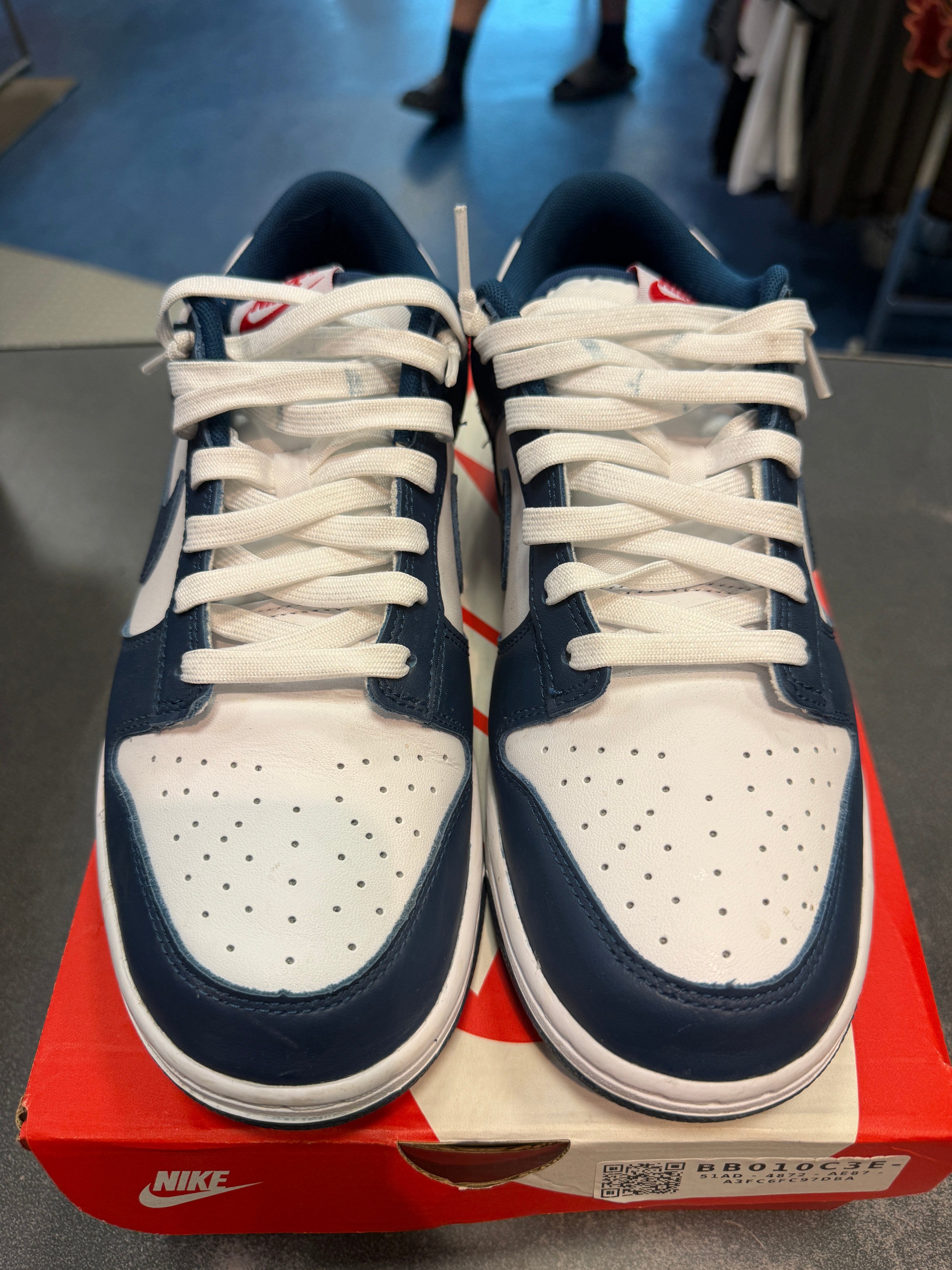 Nike Dunk Low "Valerian Blue" Size 10.5M Preowned