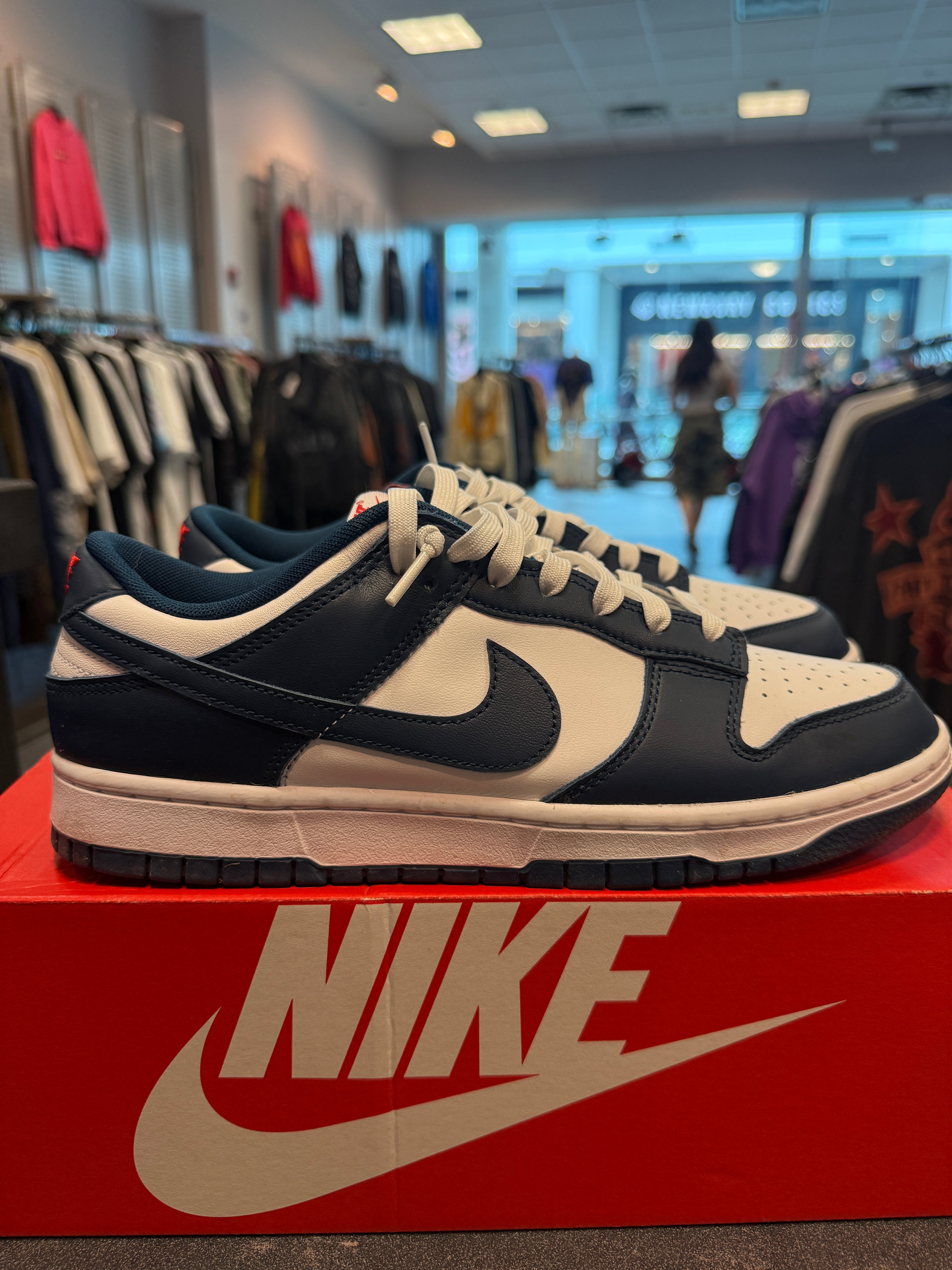 Nike Dunk Low "Valerian Blue" Size 10.5M Preowned