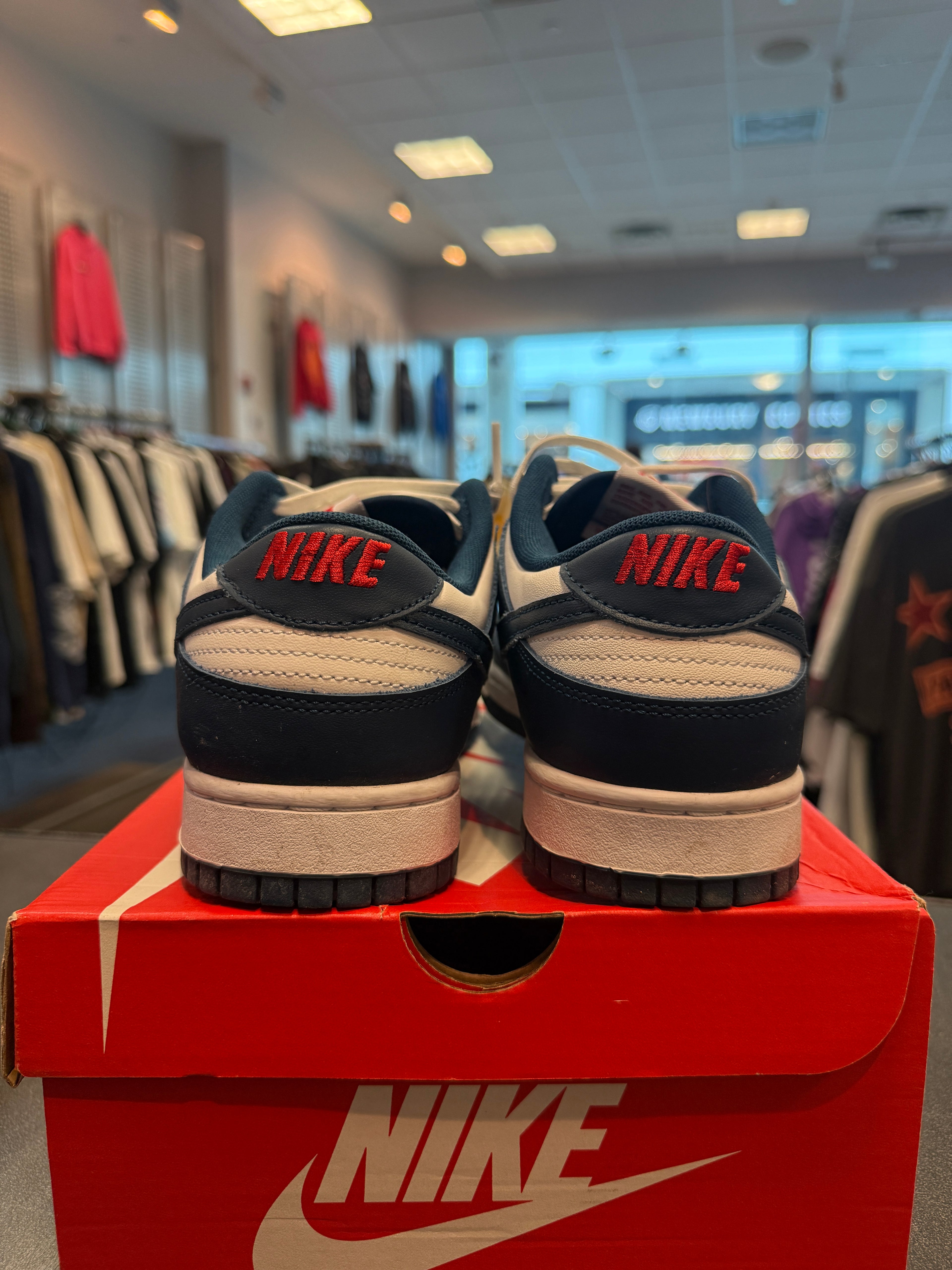 Nike Dunk Low "Valerian Blue" Size 10.5M Preowned
