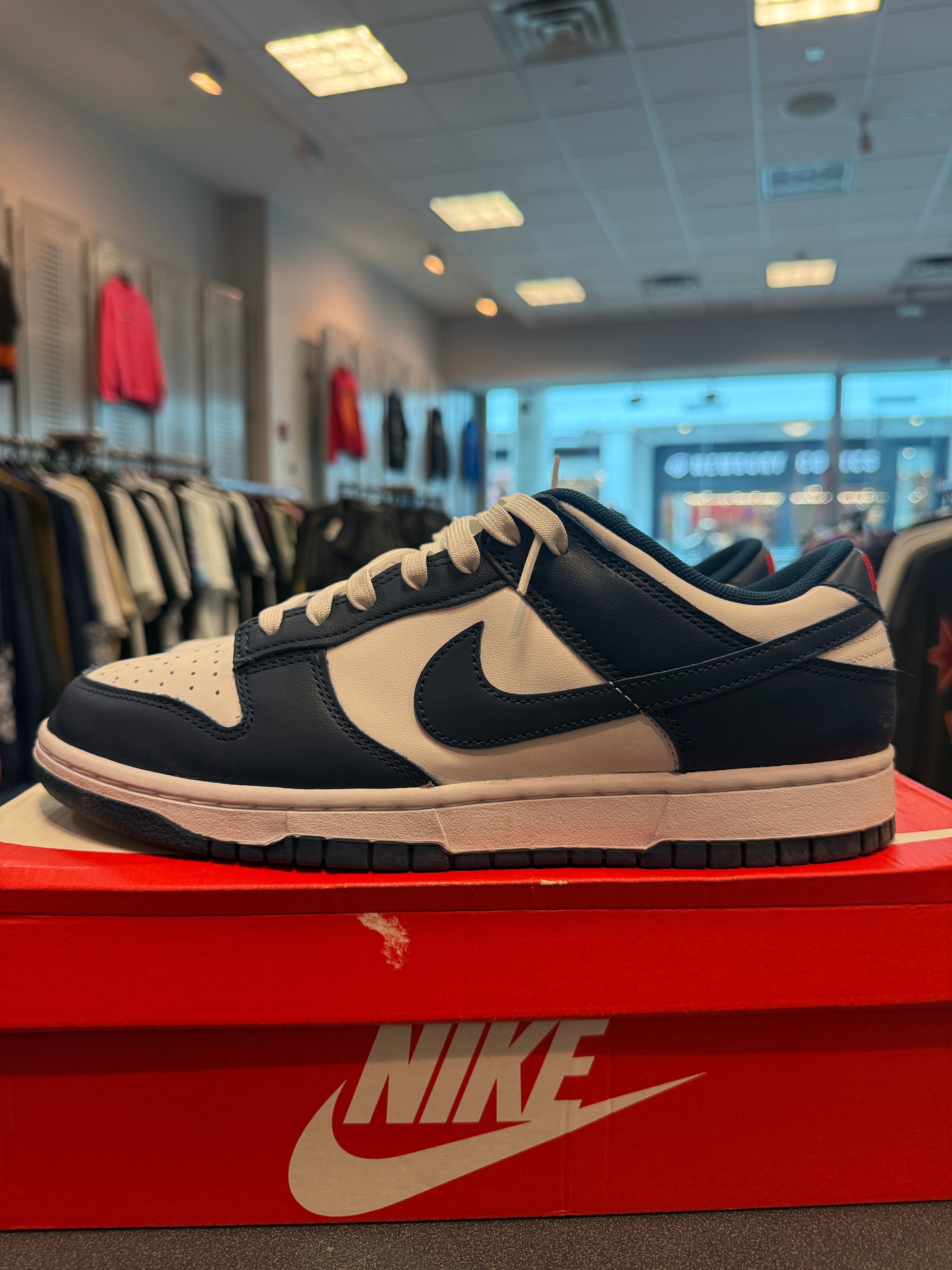 Nike Dunk Low "Valerian Blue" Size 10.5M Preowned