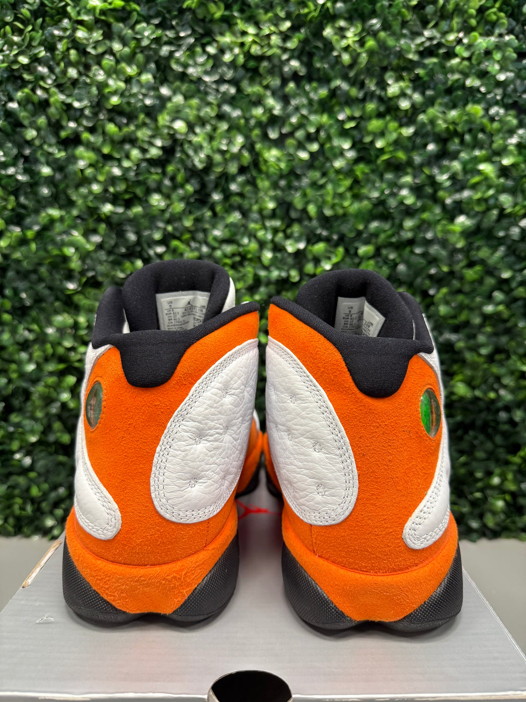 Jordan 13 "Starfish" Size 9 Preowned