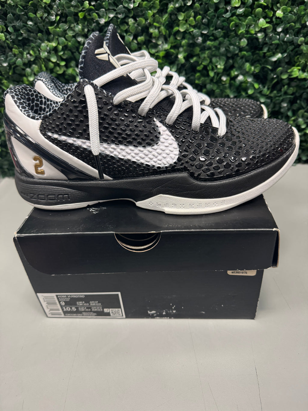 Nike Kobe 6 Protro "Mambacita Sweet 16" Size 9 Preowned