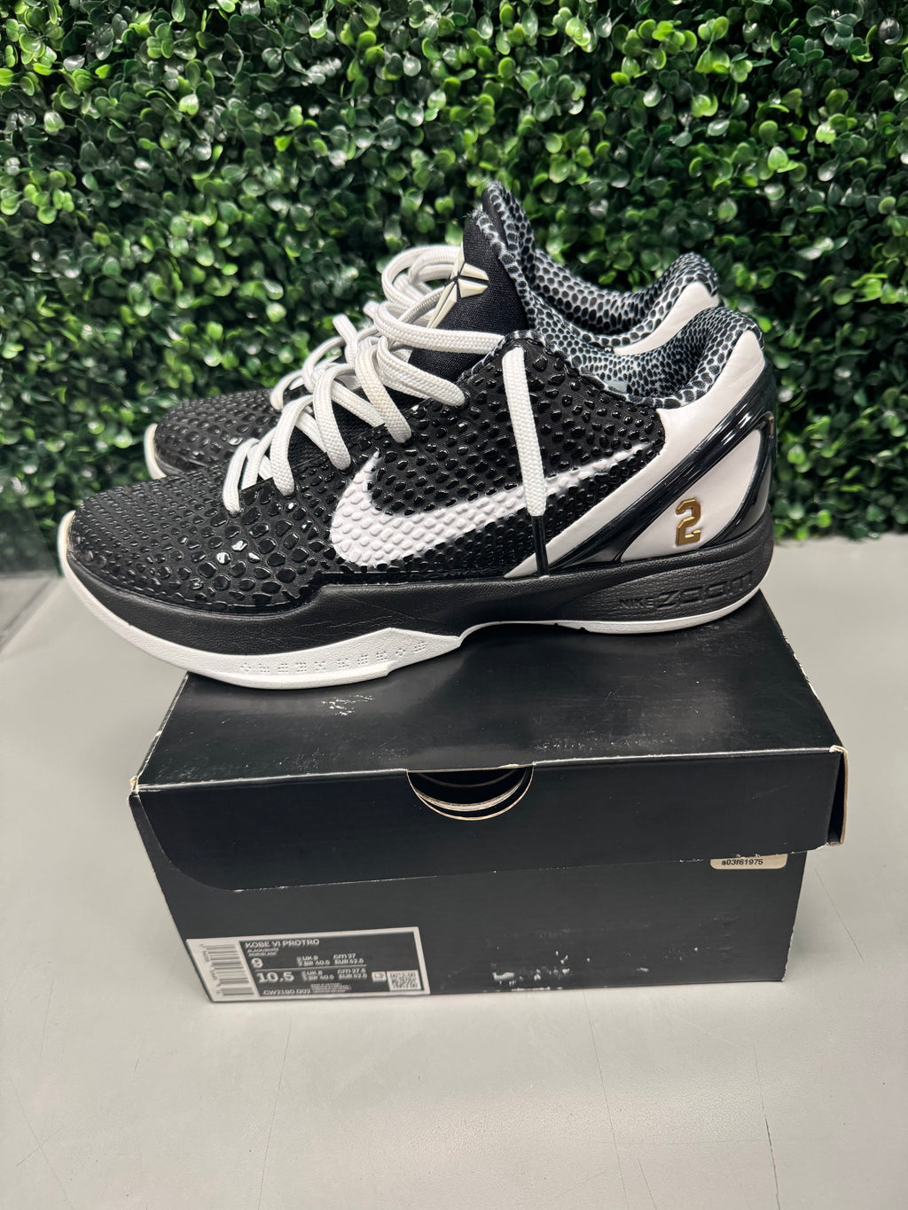 Nike Kobe 6 Protro "Mambacita Sweet 16" Size 9 Preowned