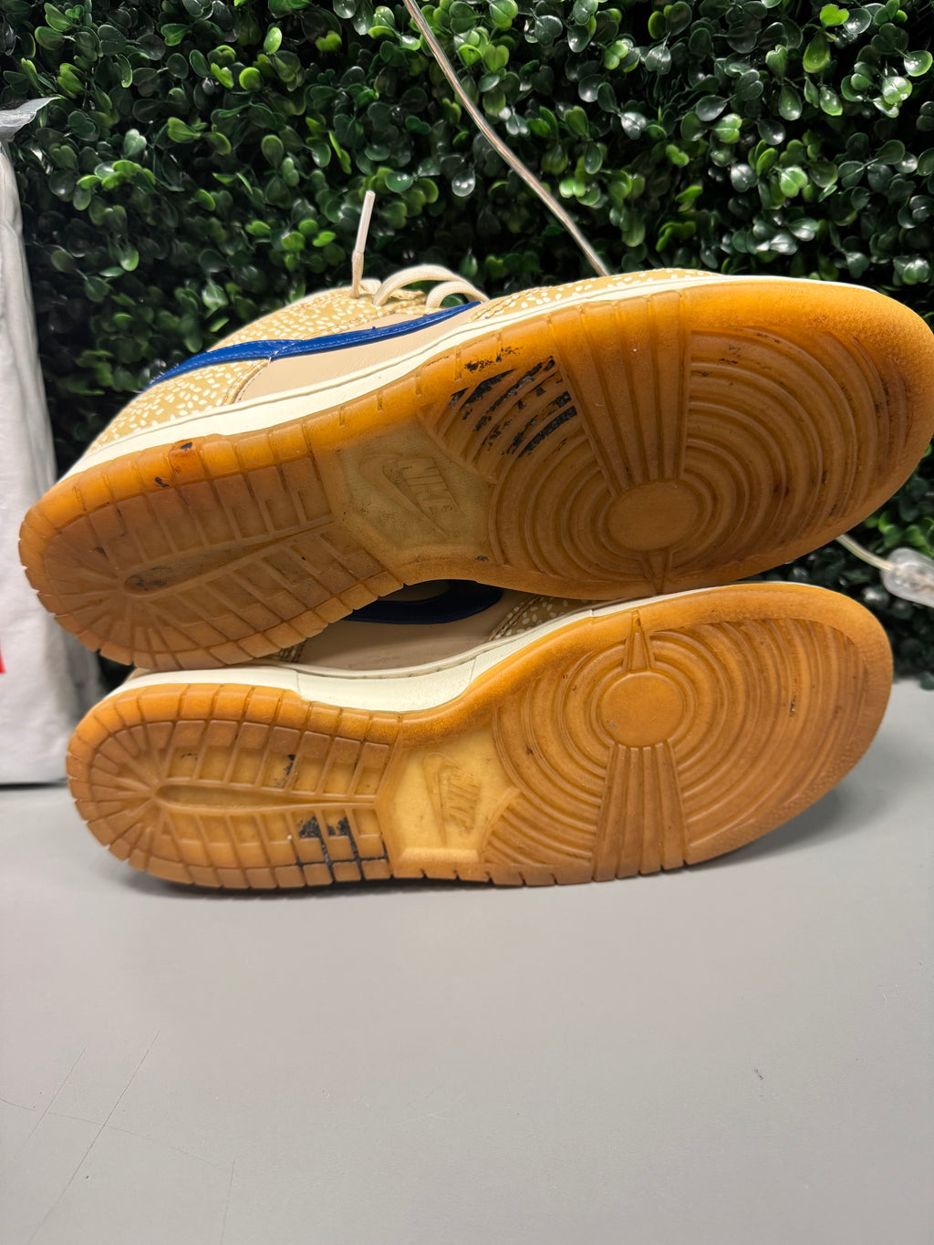 Nike Dunk Low "Montreal Bagel Sesame" Size 10 Preowned