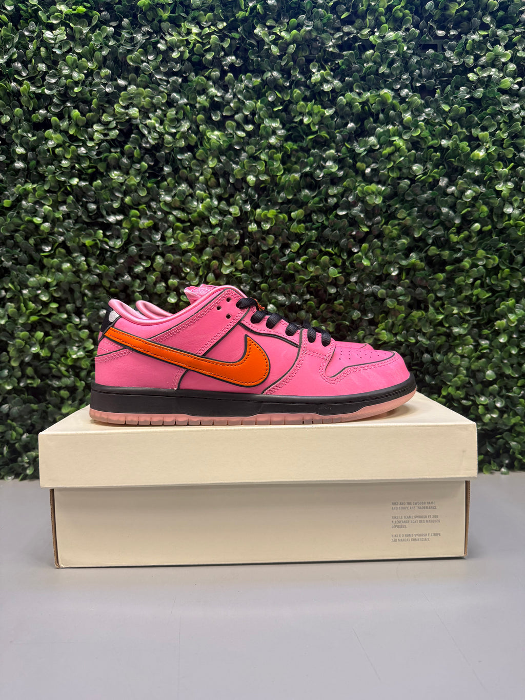 Nike SB Dunk Low The Powerpuff Girls "Blossom" Size 7.5 Preowned