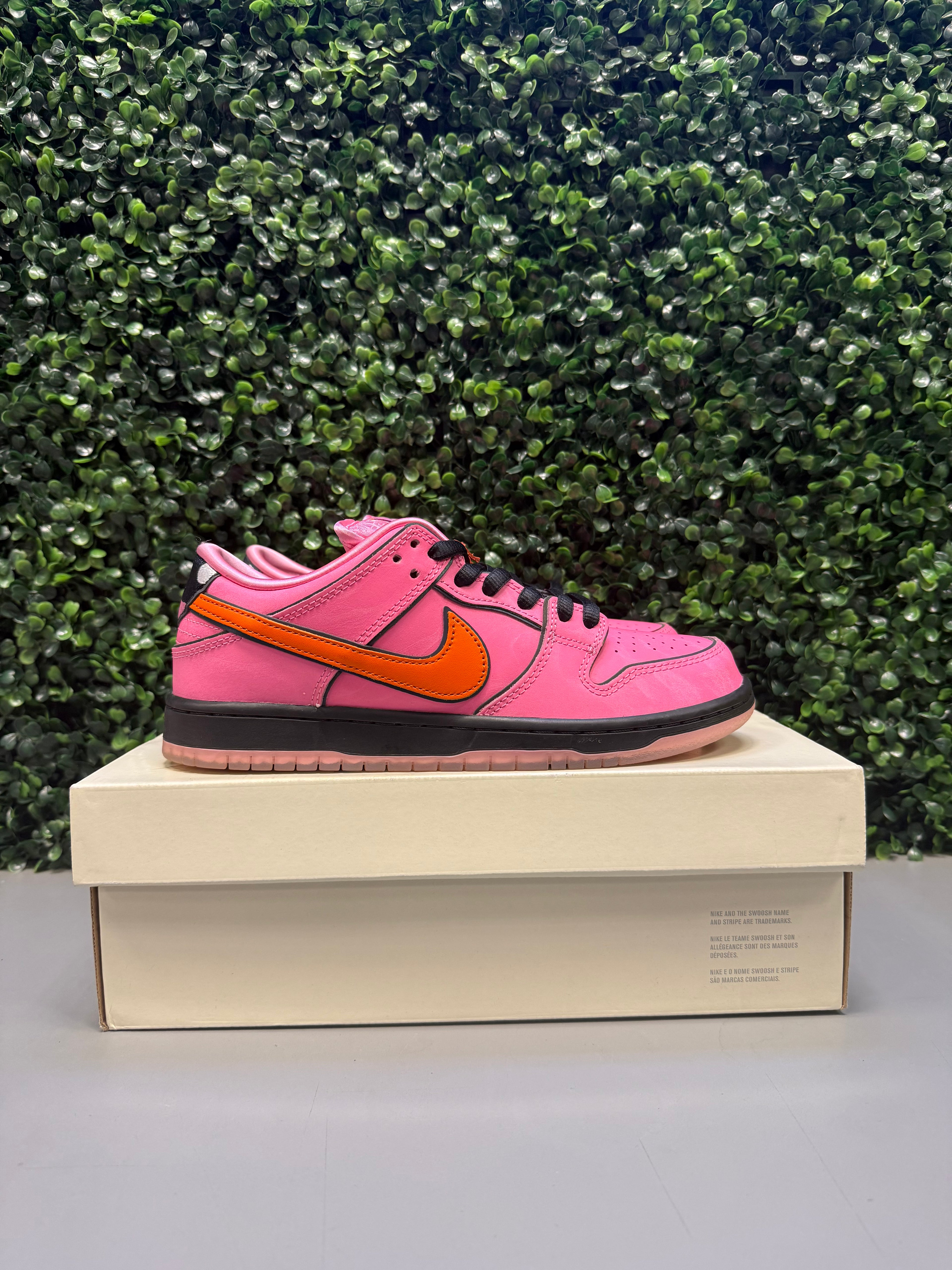 Nike SB Dunk Low The Powerpuff Girls "Blossom" Size 7.5 Preowned