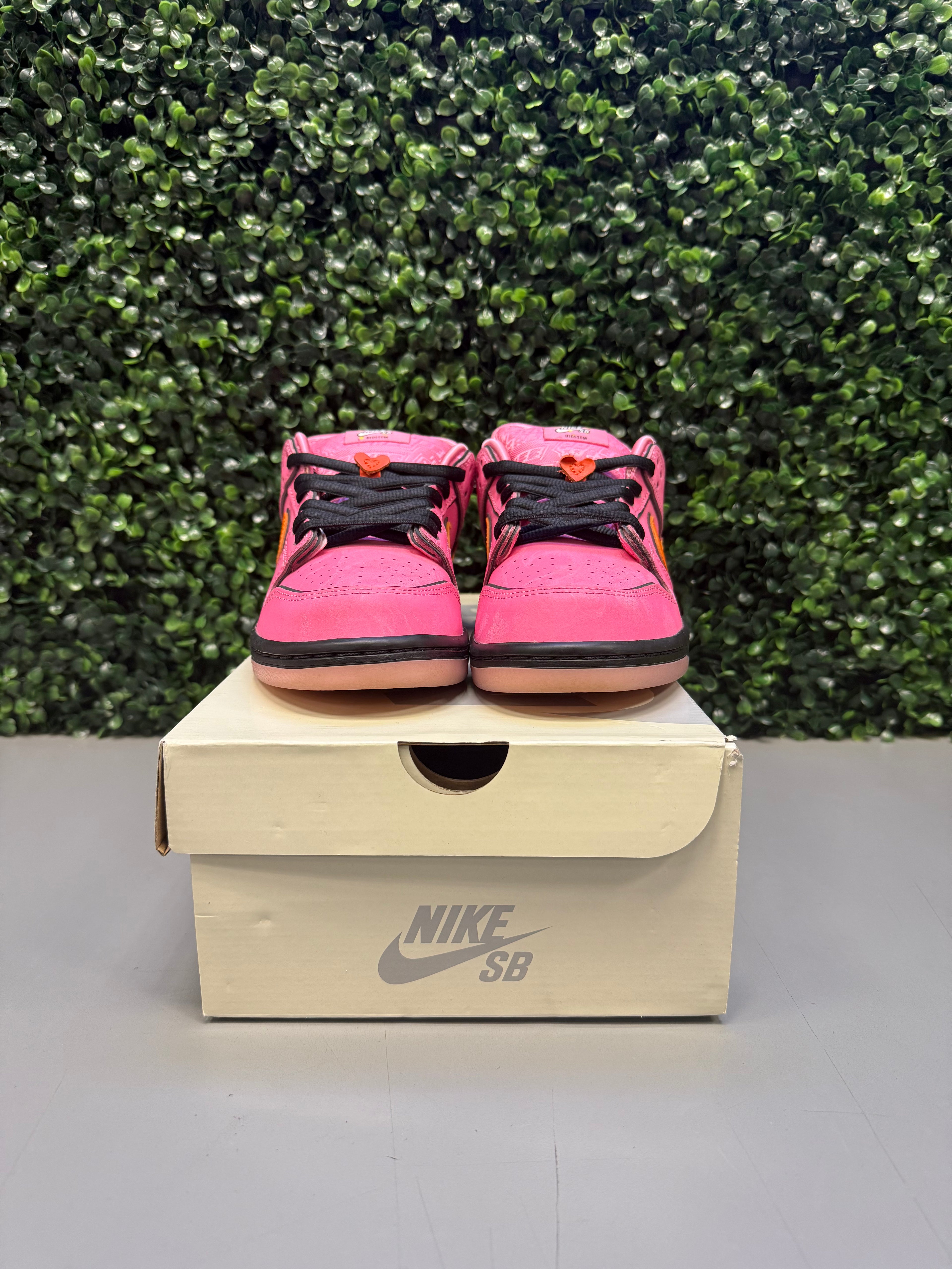 Nike SB Dunk Low The Powerpuff Girls "Blossom" Size 7.5 Preowned