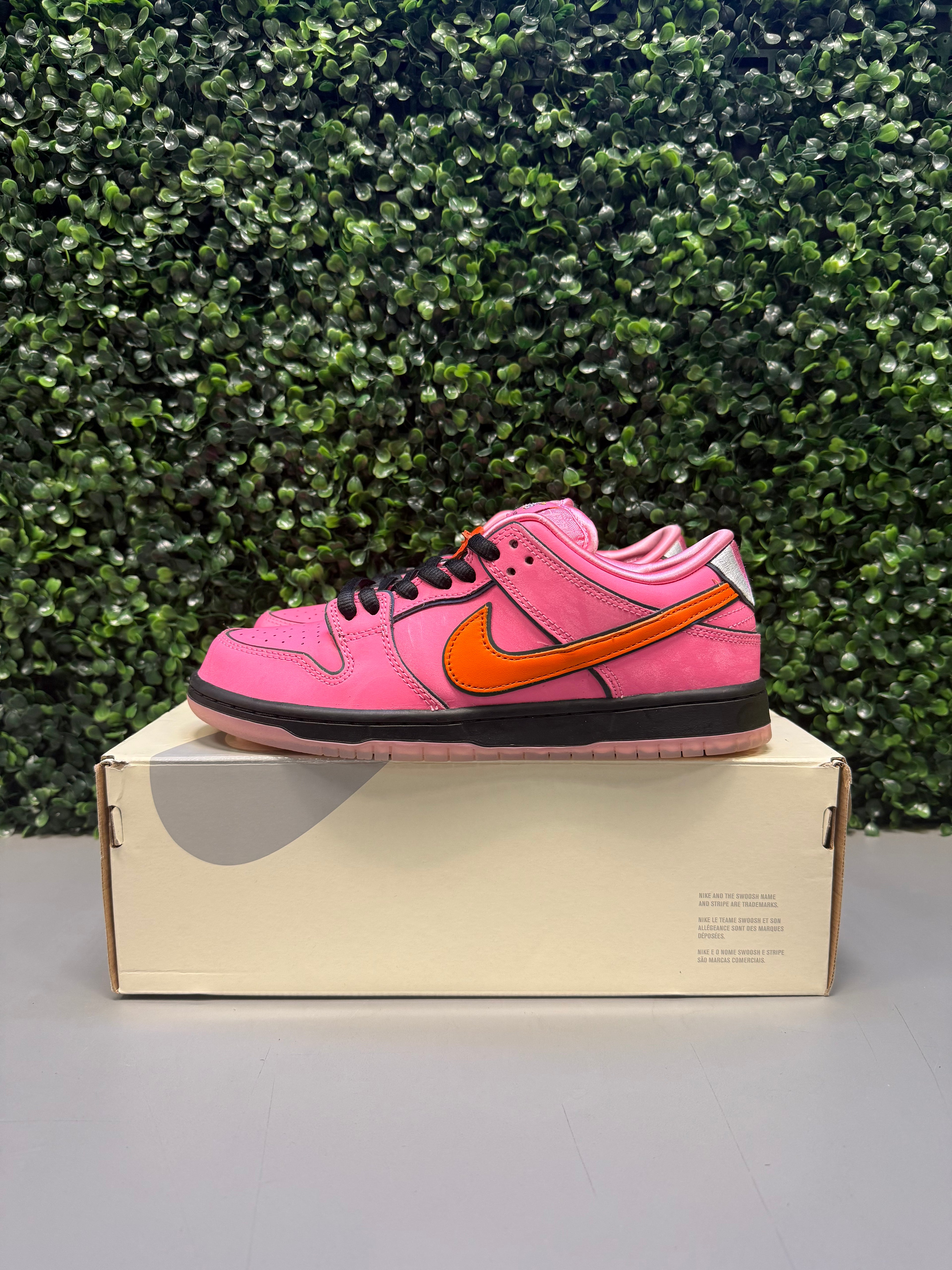 Nike SB Dunk Low The Powerpuff Girls "Blossom" Size 7.5 Preowned