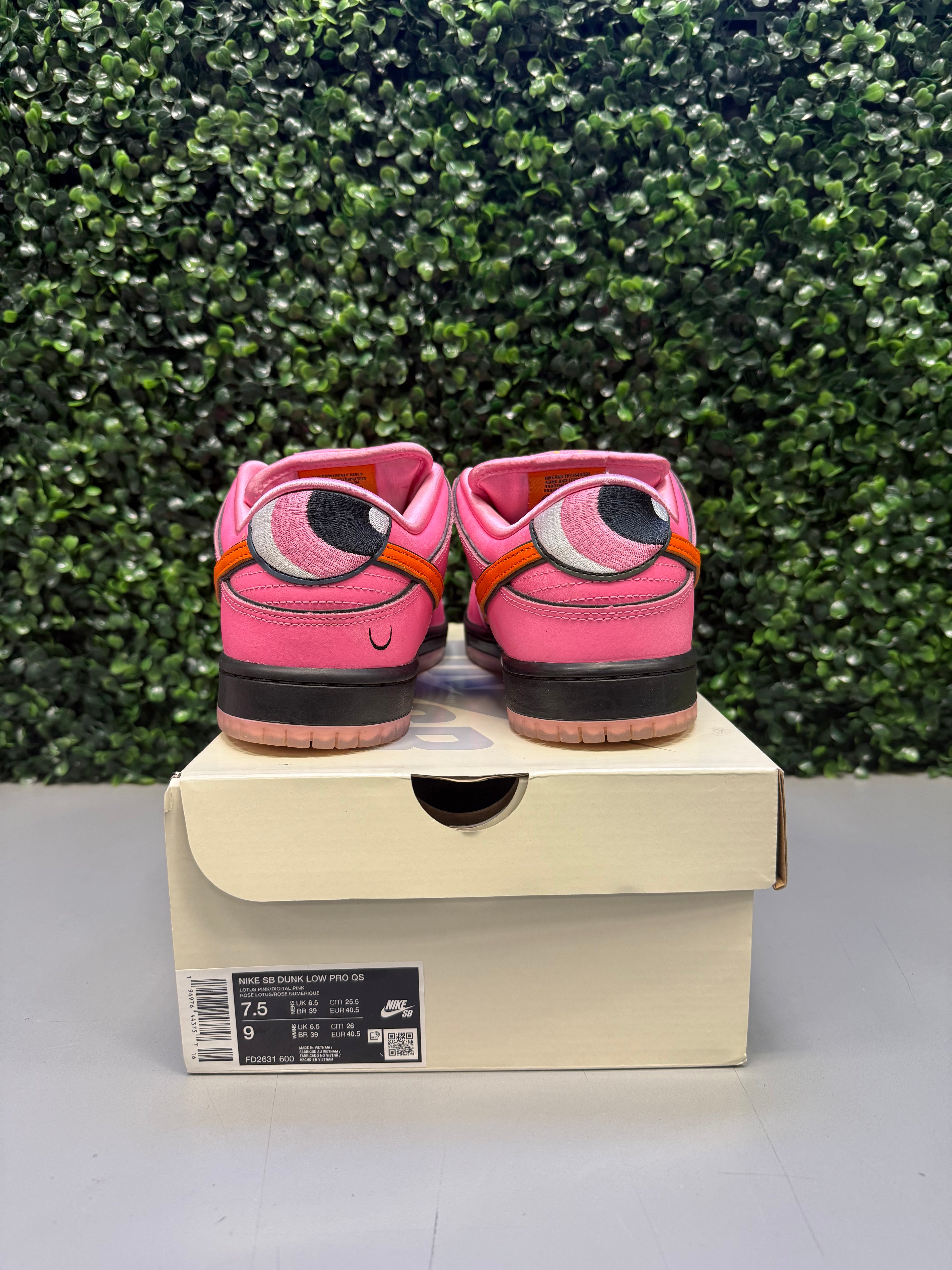 Nike SB Dunk Low The Powerpuff Girls "Blossom" Size 7.5 Preowned