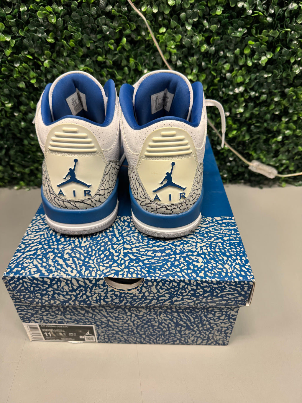 Jordan 3 "Wizards" Size 11 Preowned