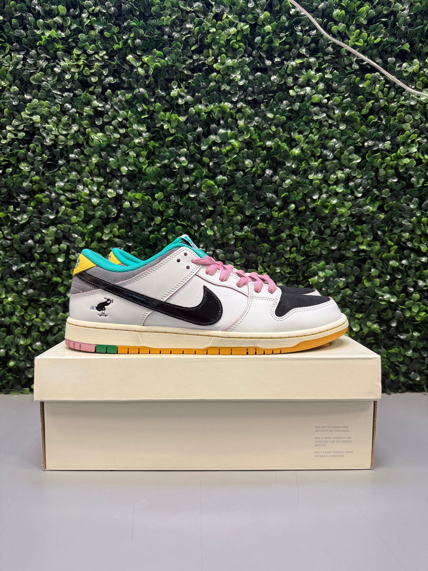 Nike SB Dunk Low "CSEF" Size 12 Preowned