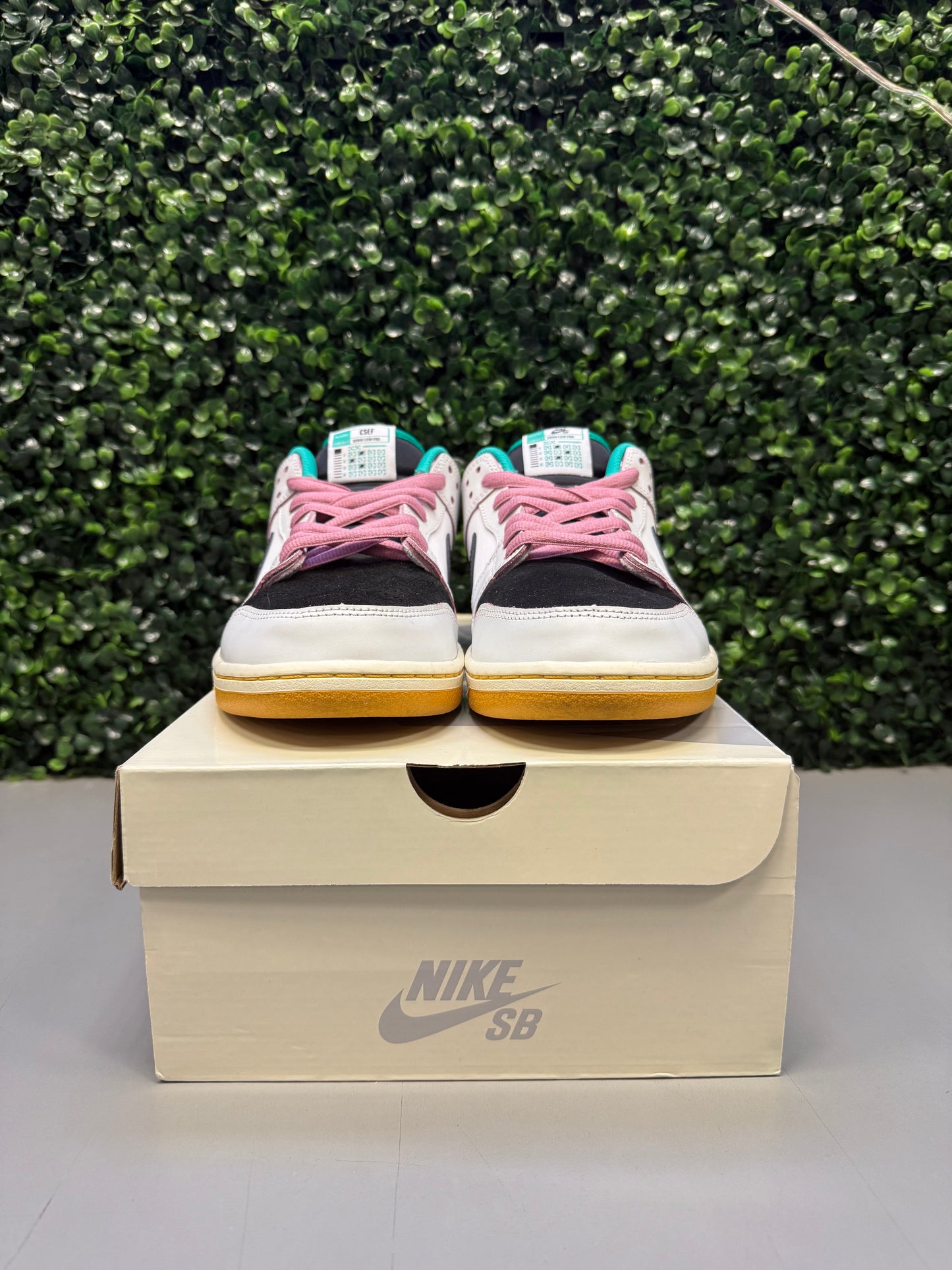 Nike SB Dunk Low "CSEF" Size 12 Preowned