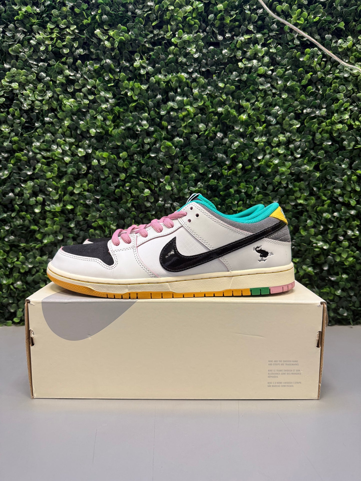 Nike SB Dunk Low "CSEF" Size 12 Preowned