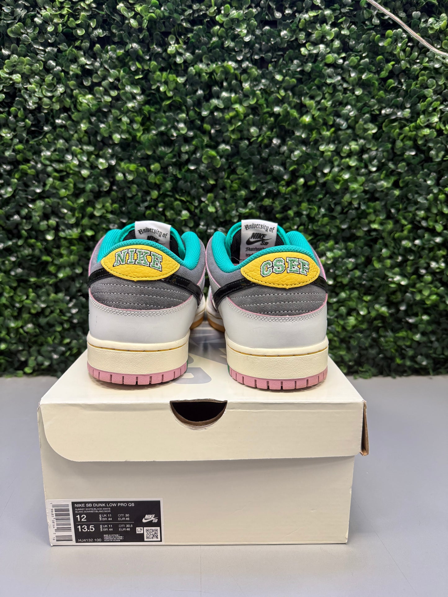 Nike SB Dunk Low "CSEF" Size 12 Preowned