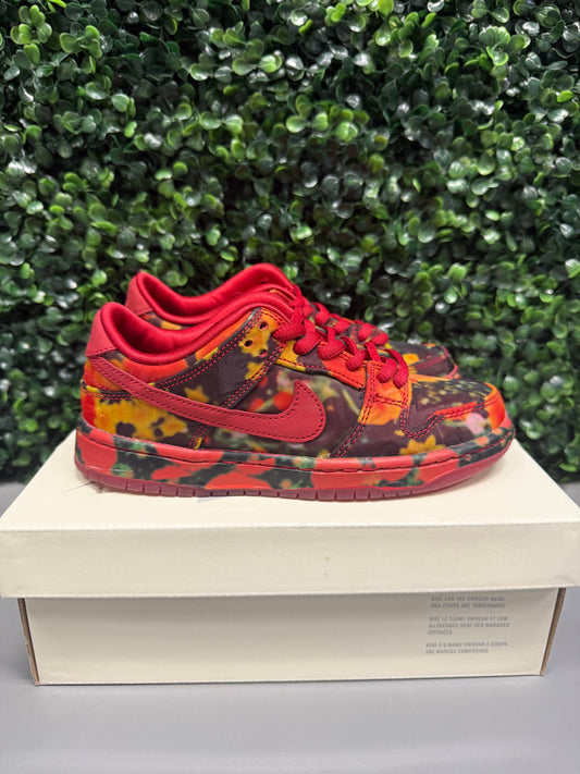 SB Dunk Low "Wizard of Oz" Size 13c Preowned