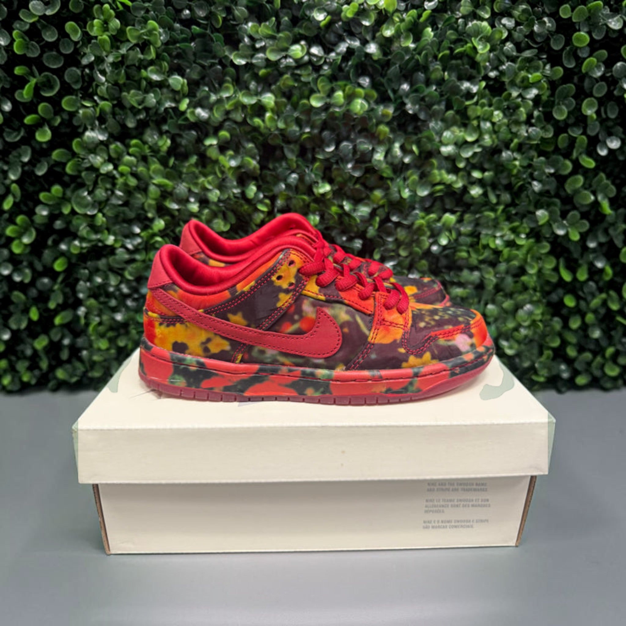 SB Dunk Low "Wizard of Oz" Size 13c Preowned