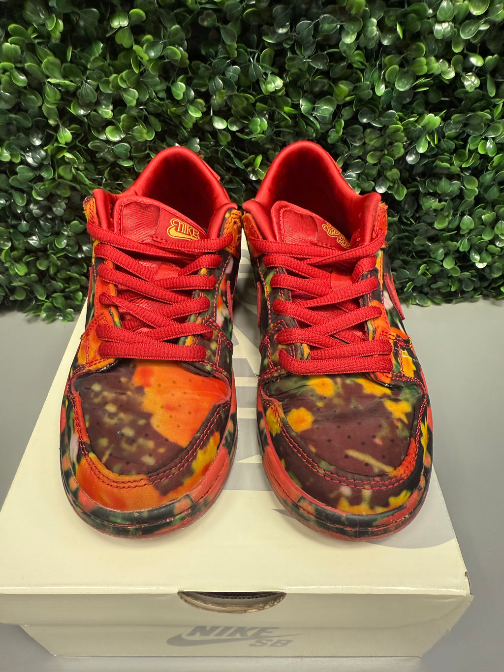 SB Dunk Low "Wizard of Oz" Size 13c Preowned