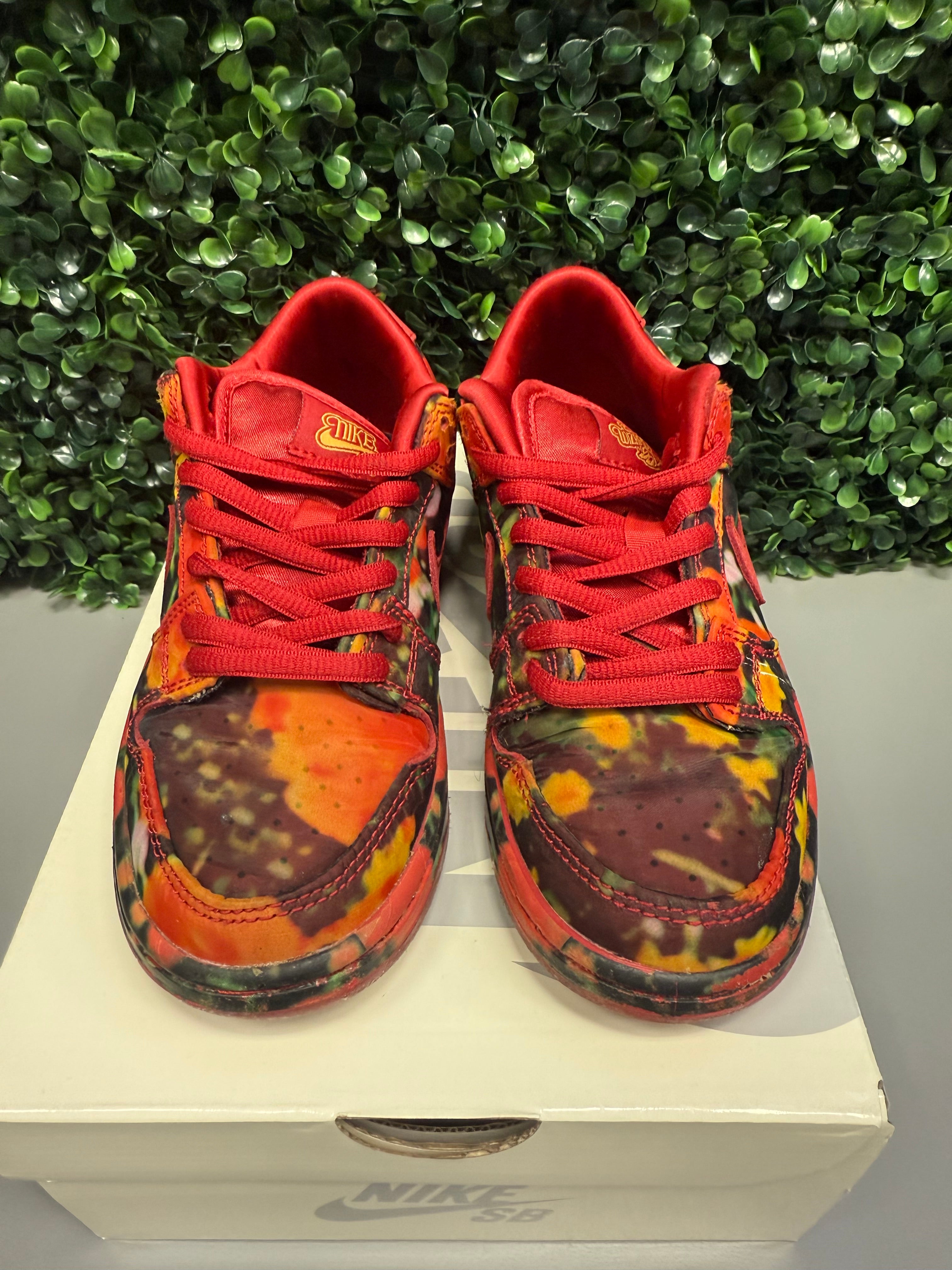 SB Dunk Low "Wizard of Oz" Size 13c Preowned