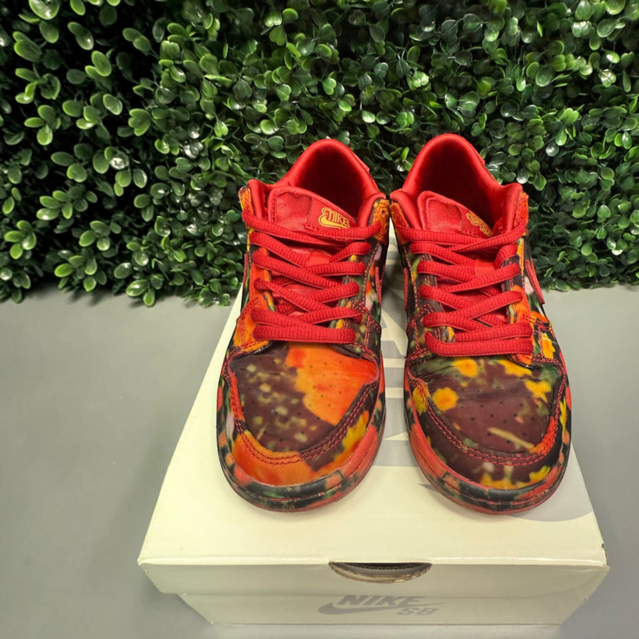 SB Dunk Low "Wizard of Oz" Size 13c Preowned