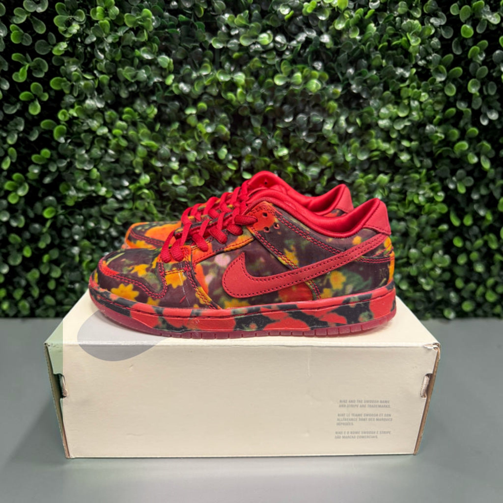 SB Dunk Low "Wizard of Oz" Size 13c Preowned