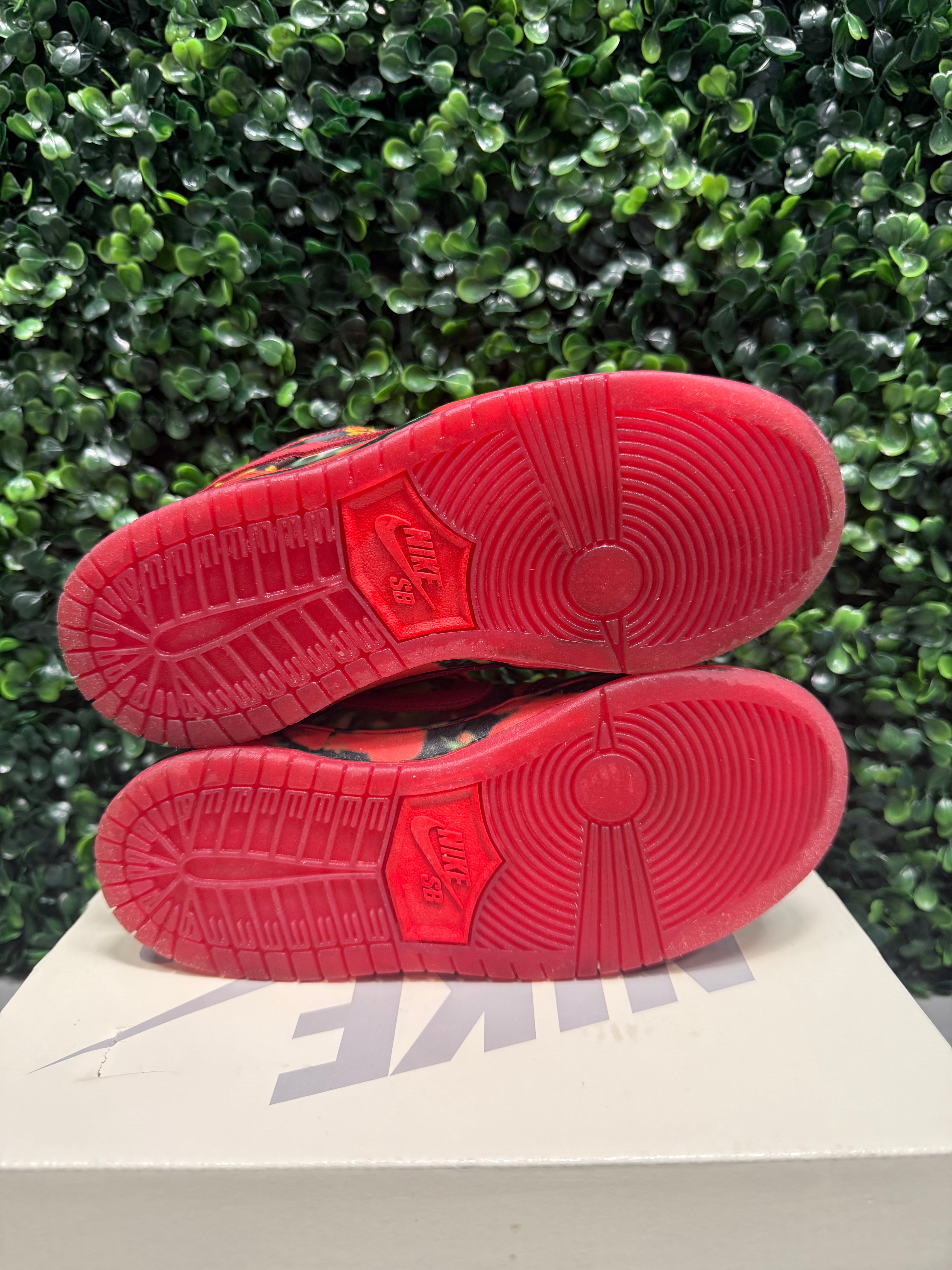 SB Dunk Low "Wizard of Oz" Size 13c Preowned