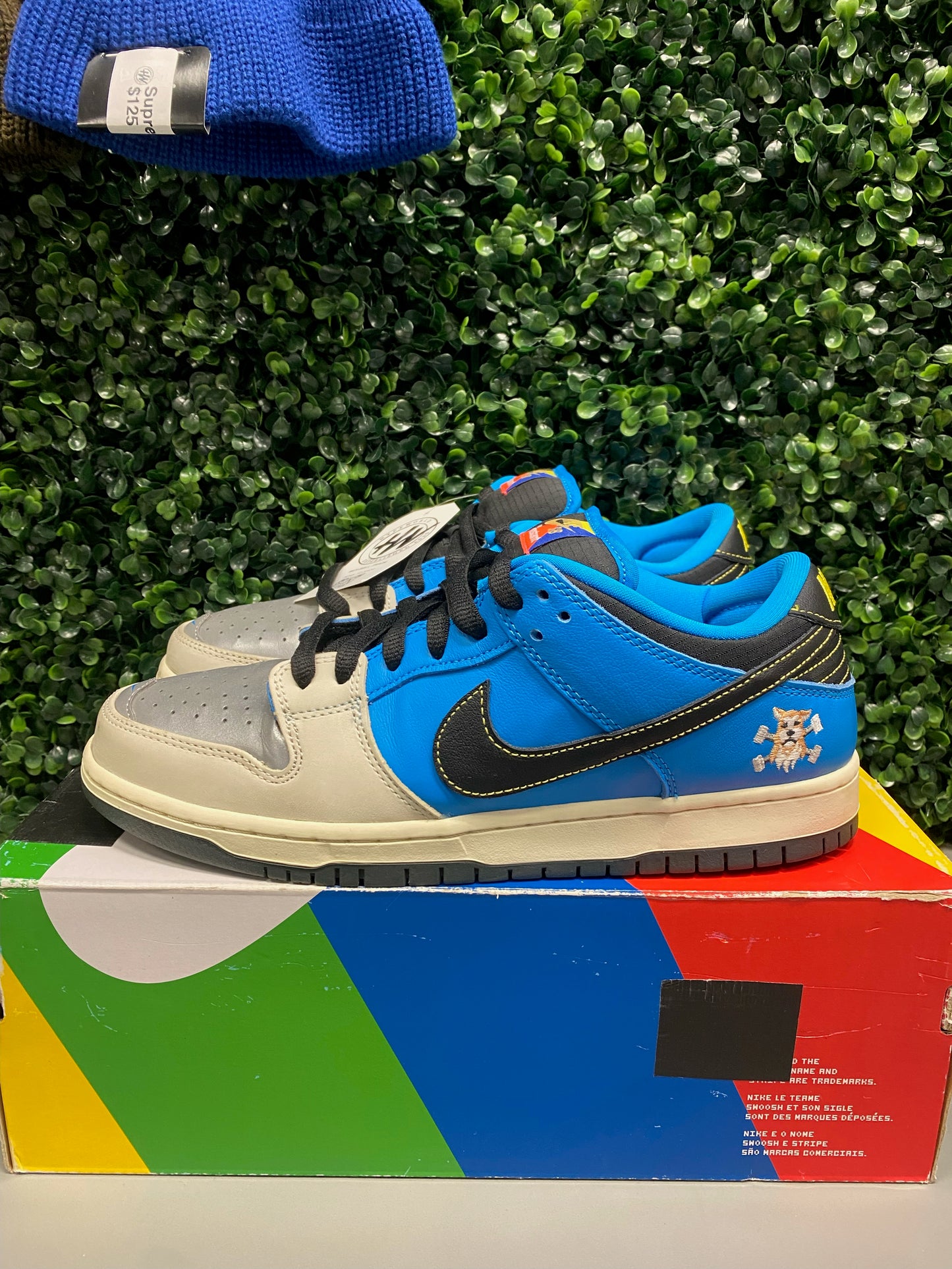 Nike Dunk SB Low "Instant Skateboard" Size 9.5 Preowned