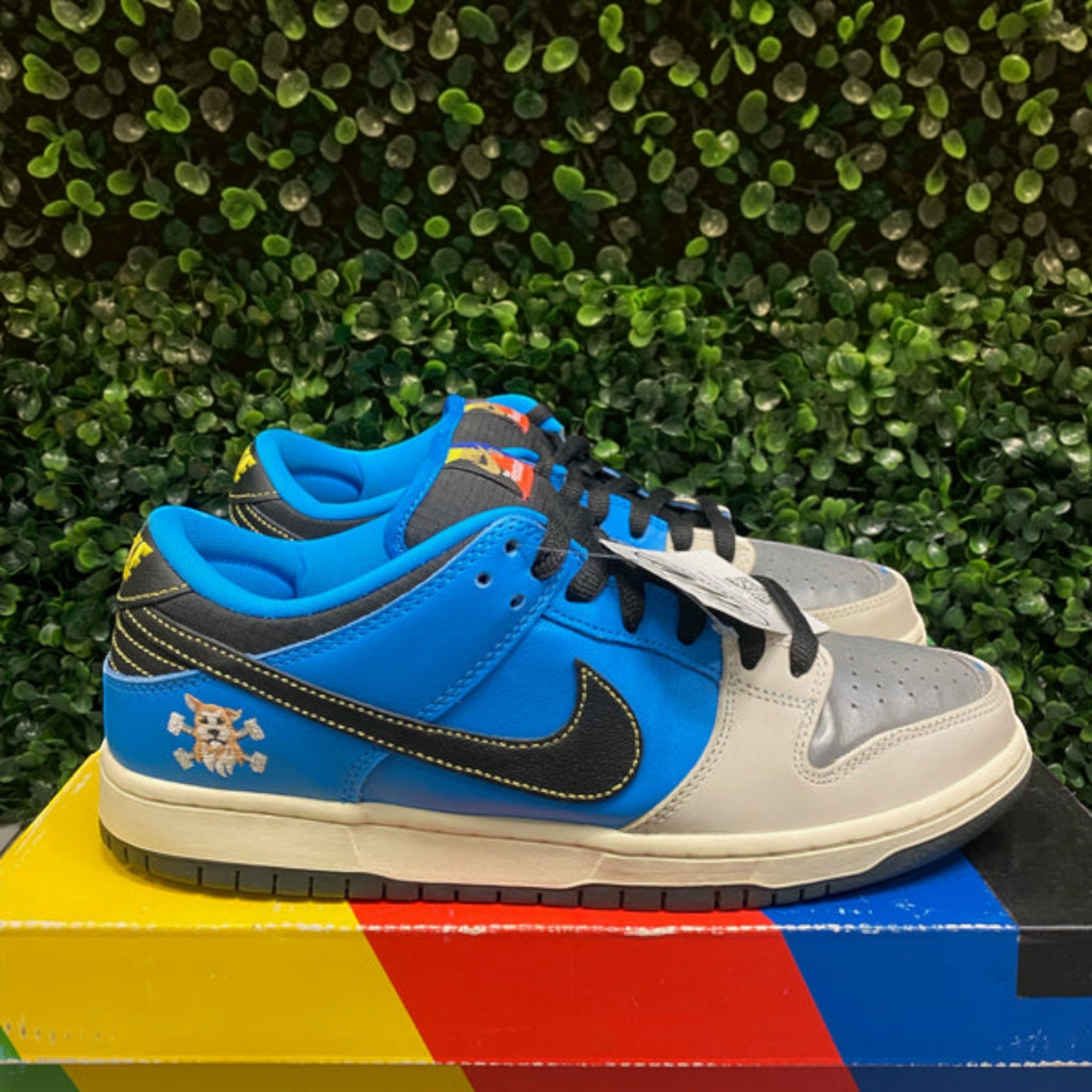 Nike Dunk SB Low "Instant Skateboard" Size 9.5 Preowned