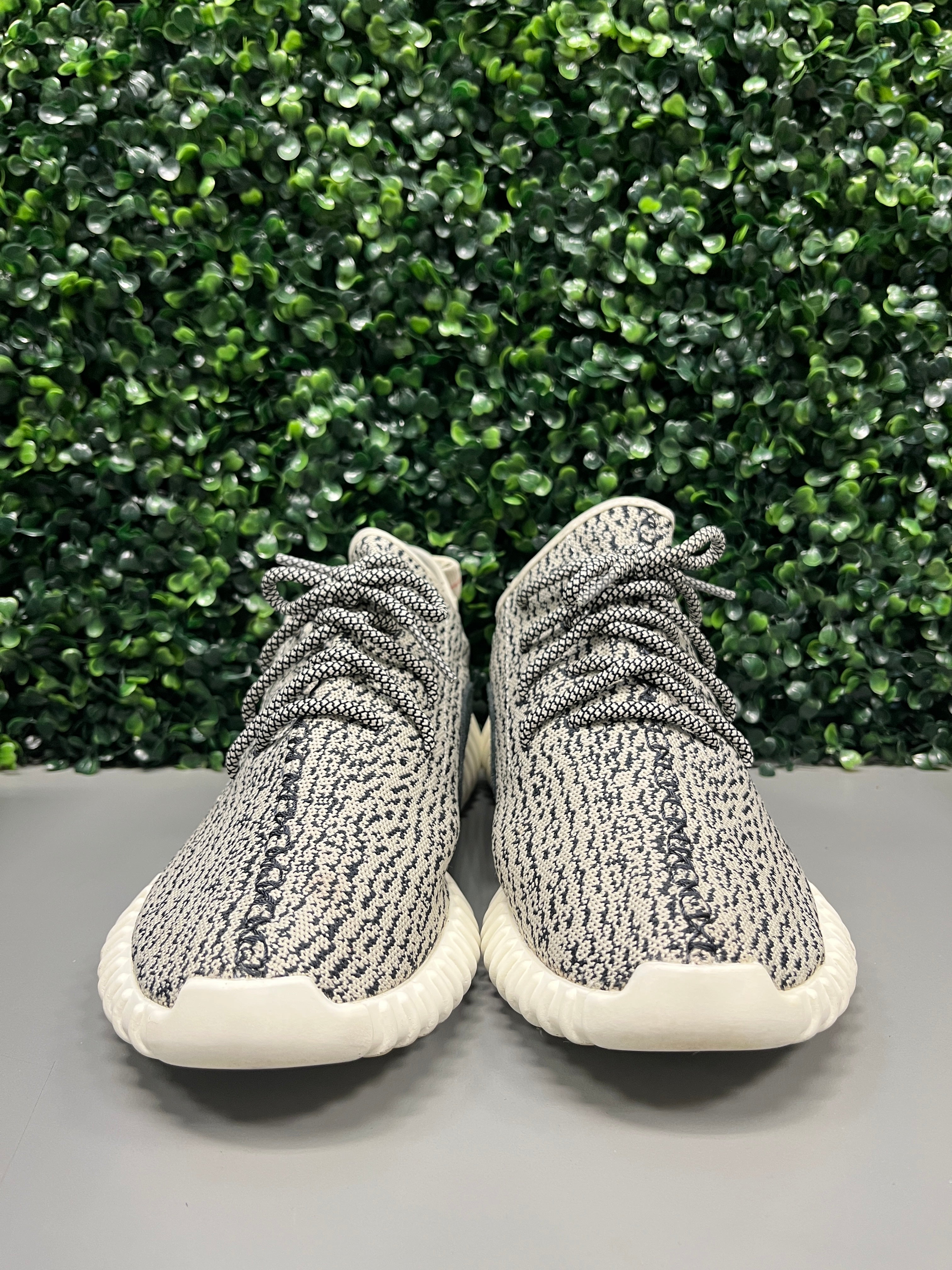 Yeezy 350 "Turtledove" Size 11.5 Preowned