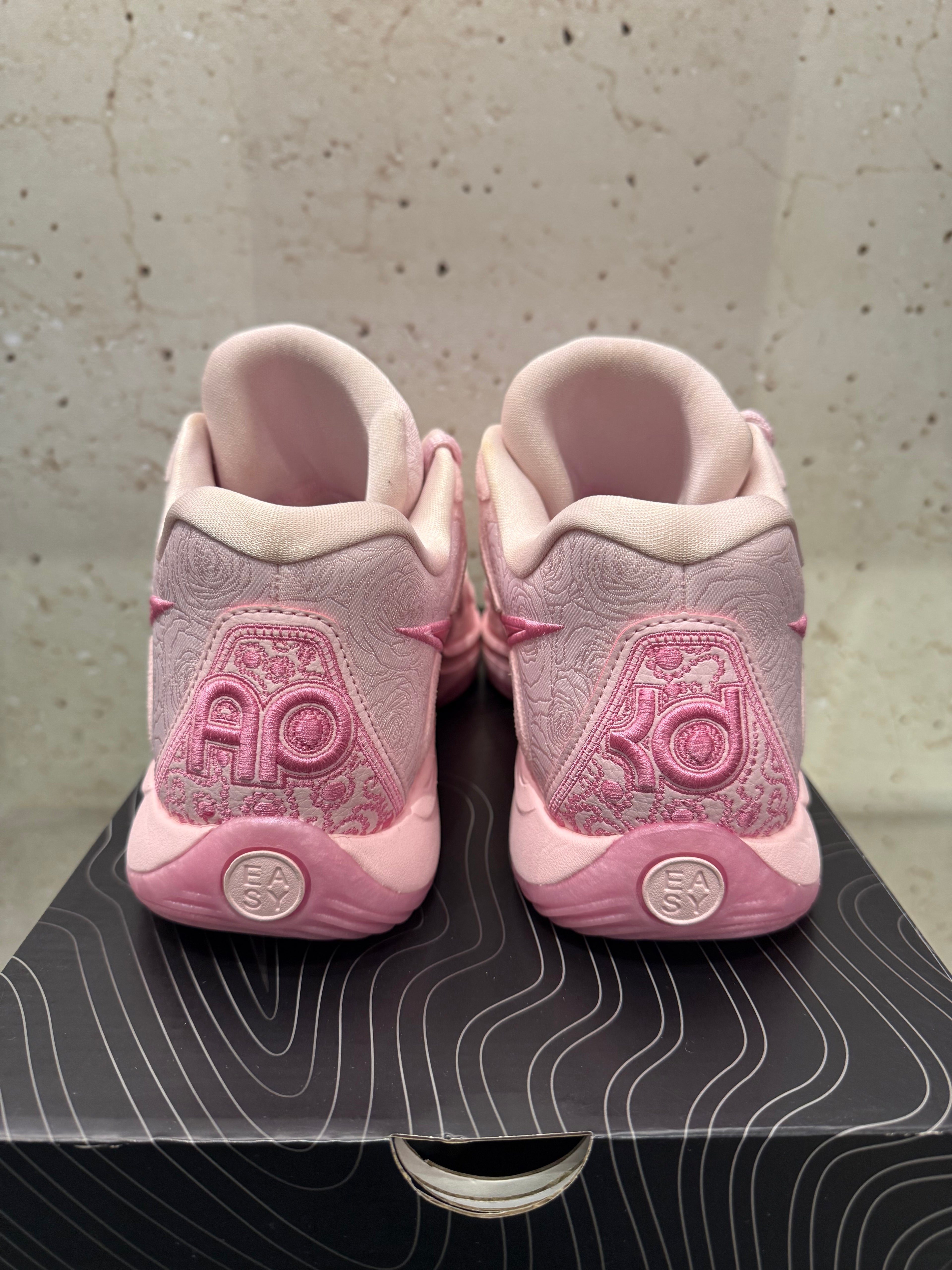 Nike KD 17 NRG "Aunt Pearl" Size 11 Tried On
