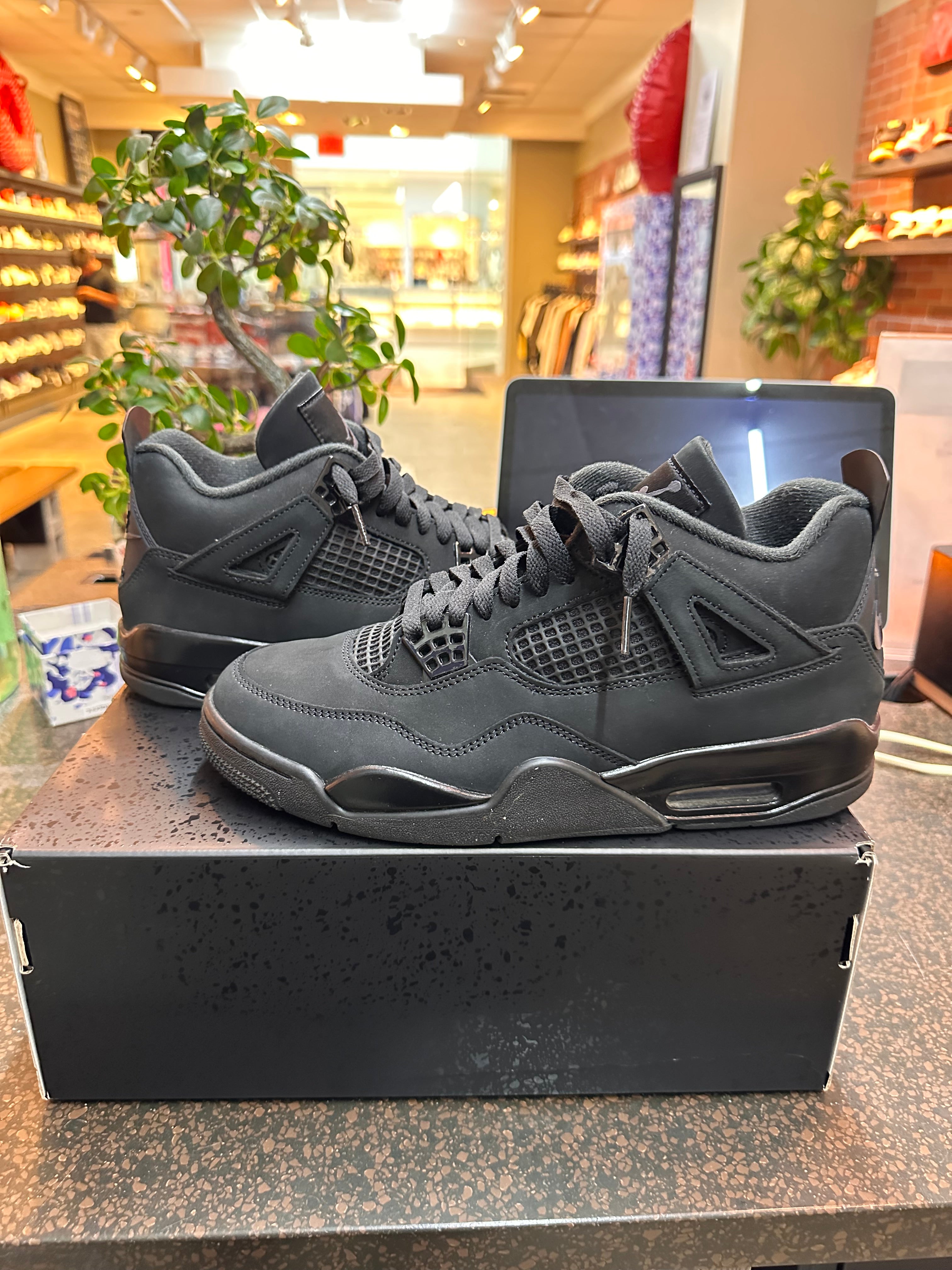 Jordan 4 "Black Cat" Preowned