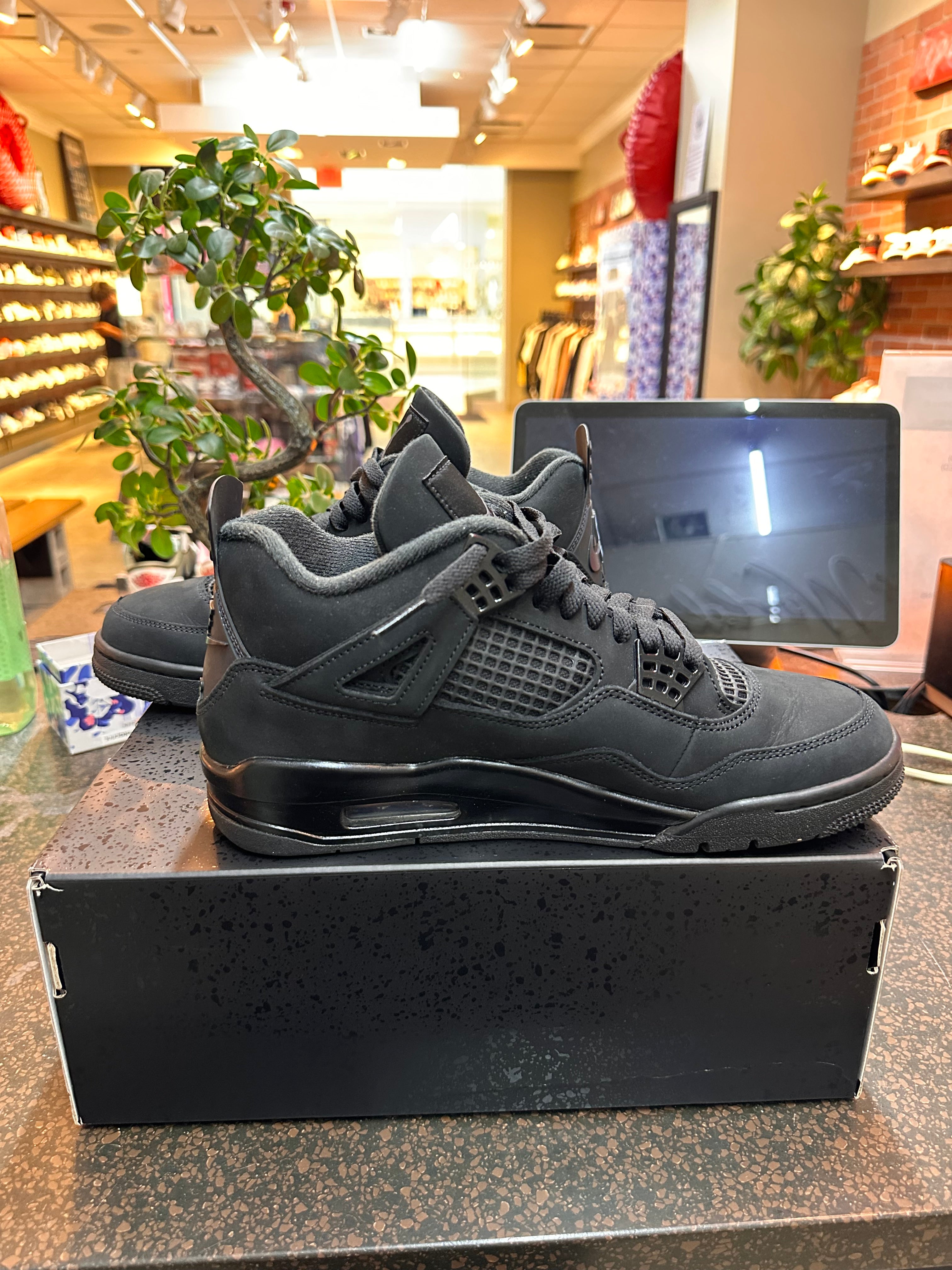 Jordan 4 "Black Cat" Preowned