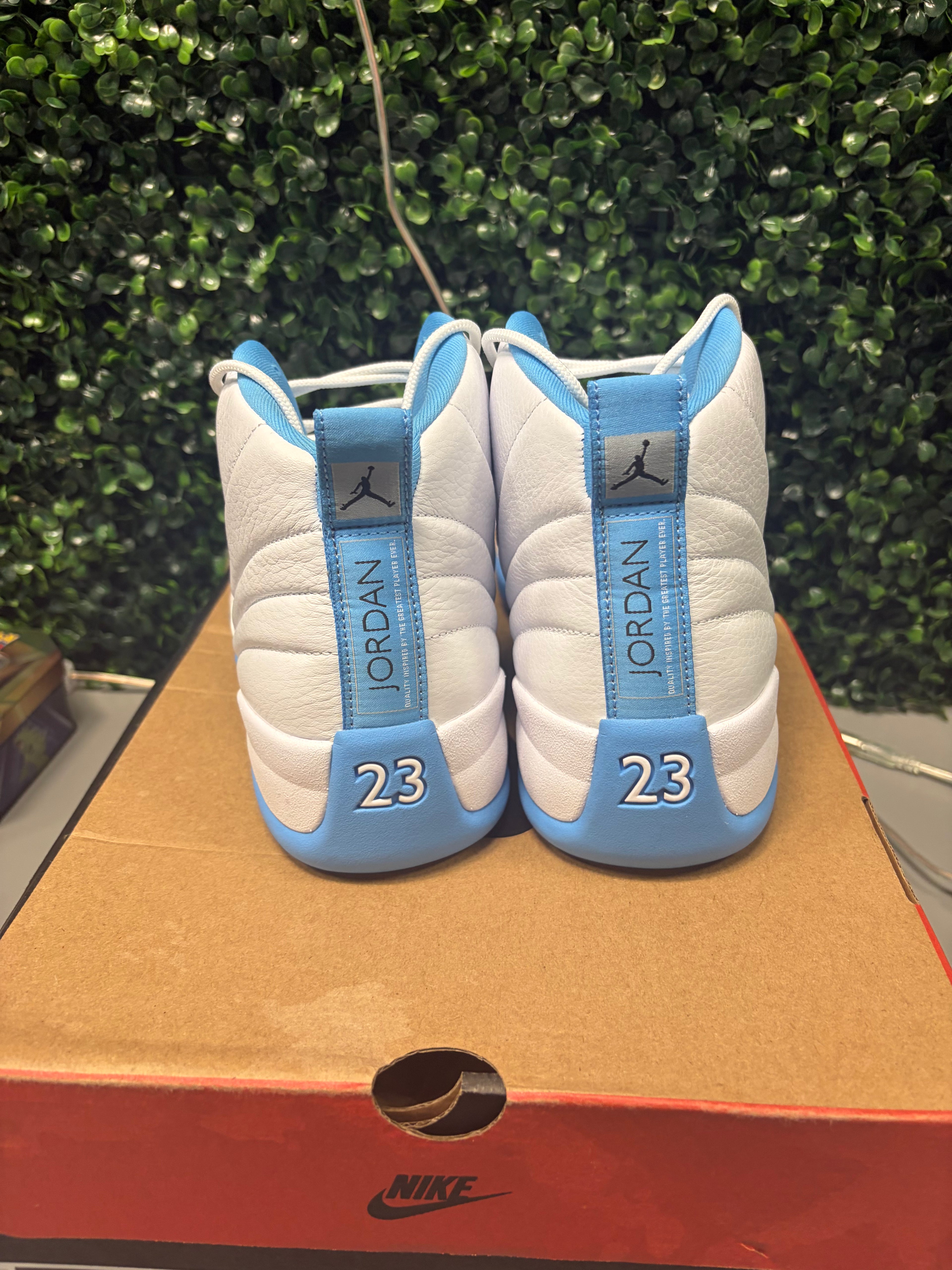 Jordan 12 "Melo" Size 10.5 Tried On