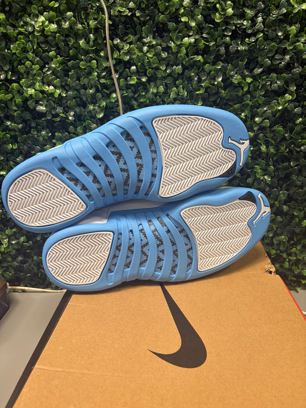Jordan 12 "Melo" Size 10.5 Tried On