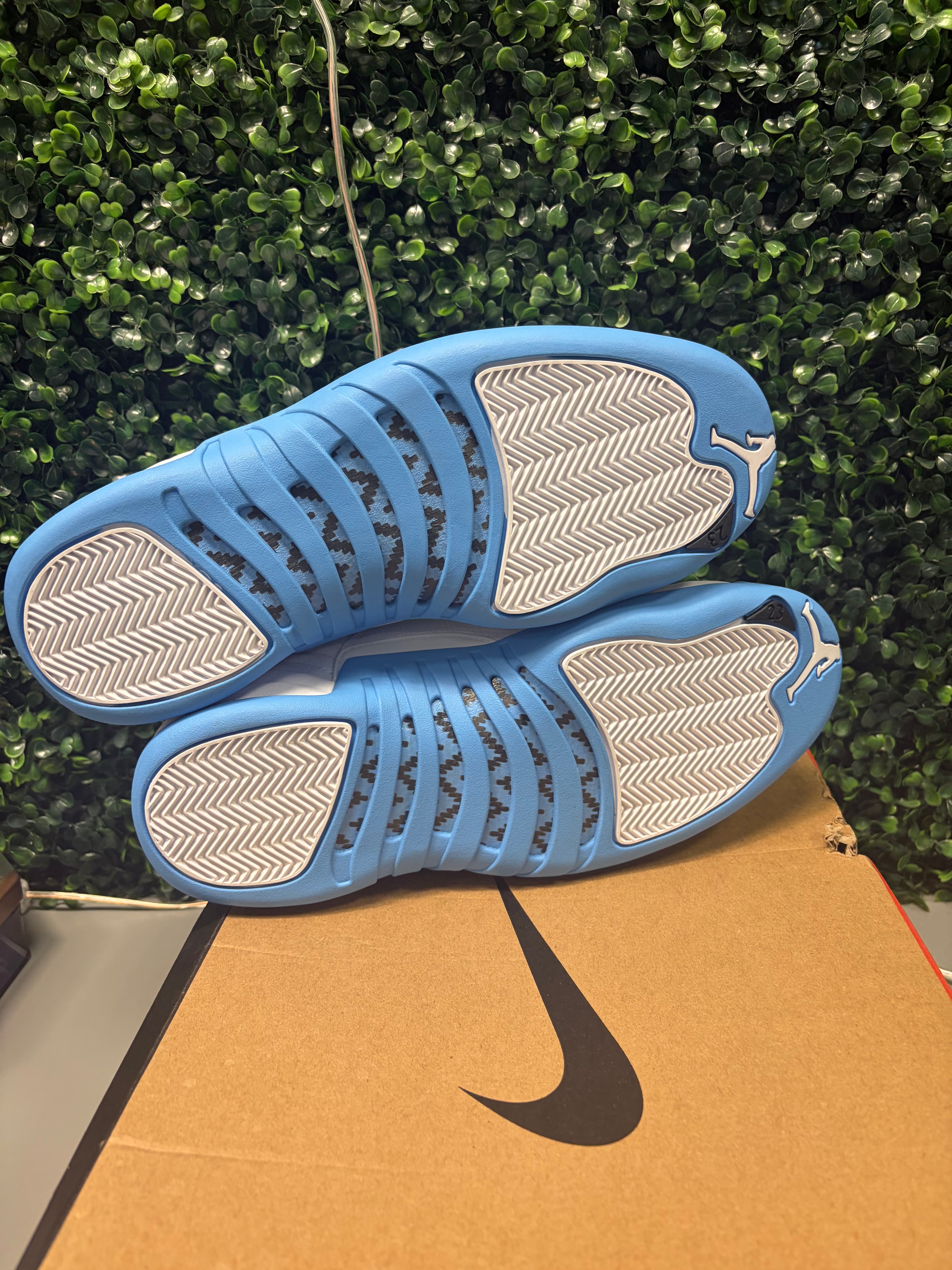 Jordan 12 "Melo" Size 10.5 Tried On