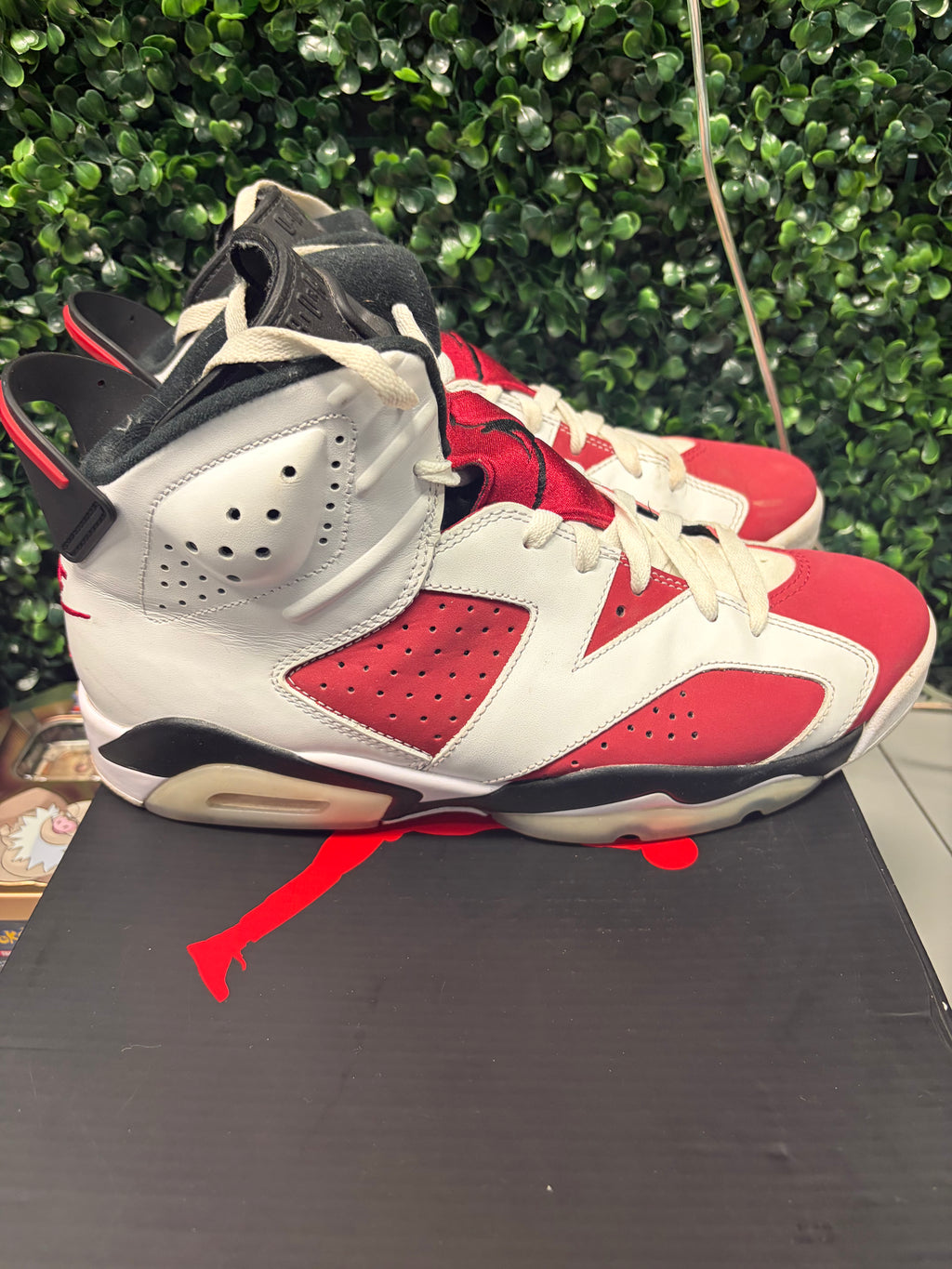Jordan 6 "Carmine" Size 9.5 Preowned