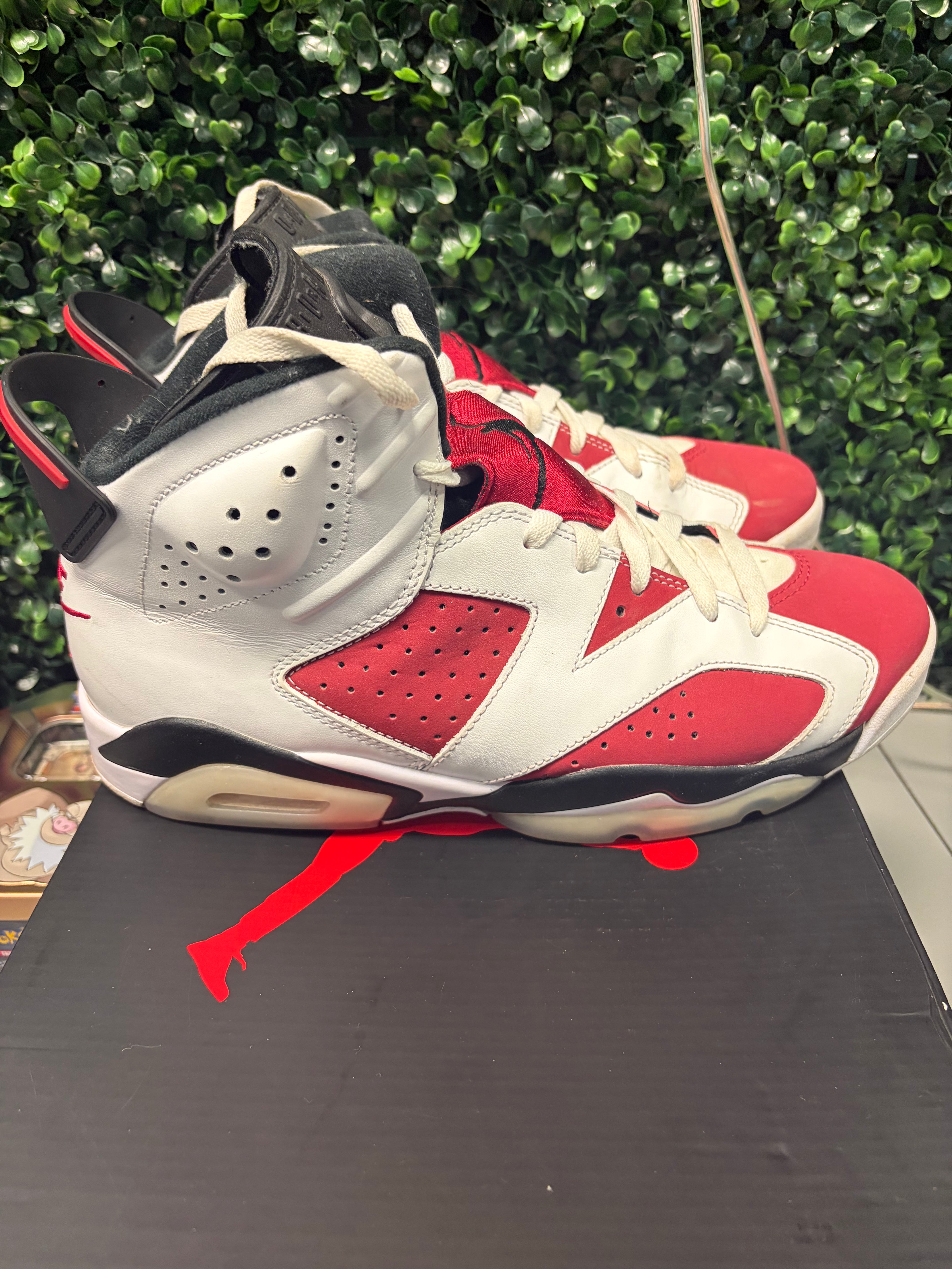 Jordan 6 "Carmine" Size 9.5 Preowned