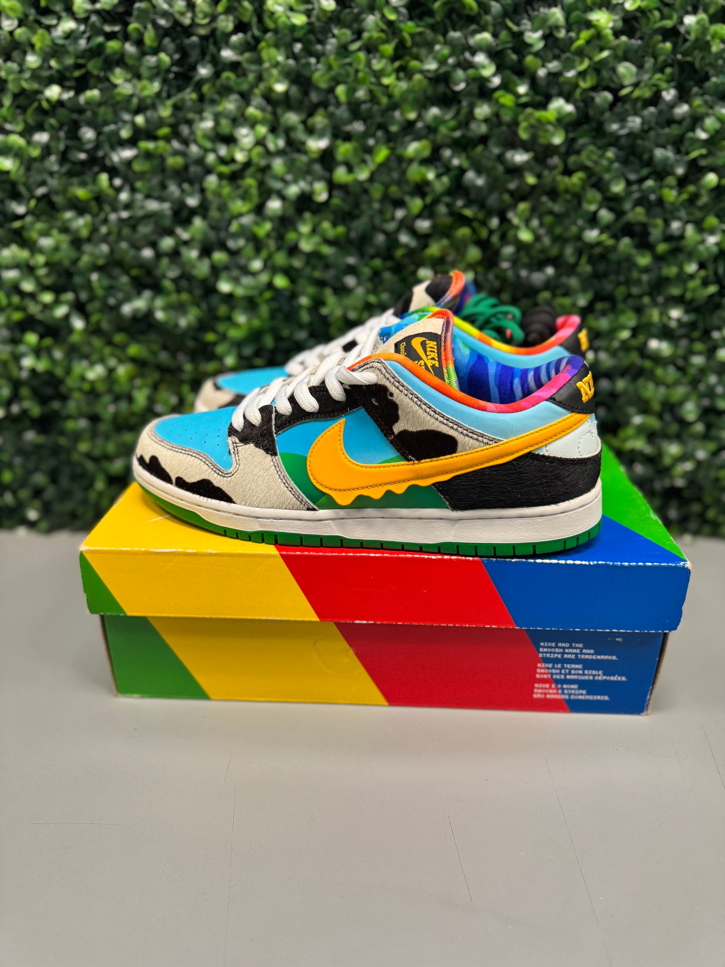 Nike SB Dunk Low "Chunky Dunky" Size 8 Preowned