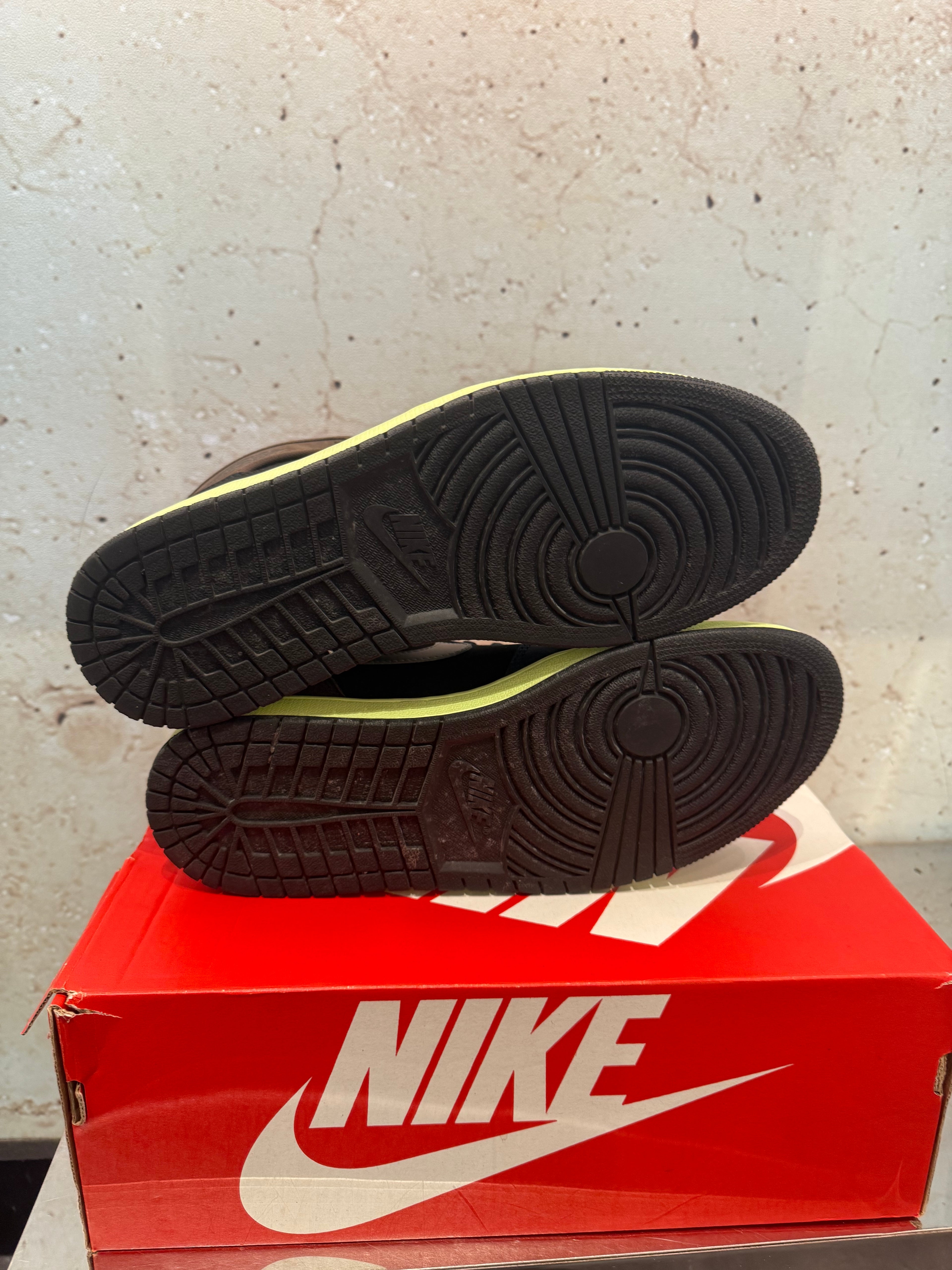 Jordan 1 High "Bio Hack" Size 11 Preowned