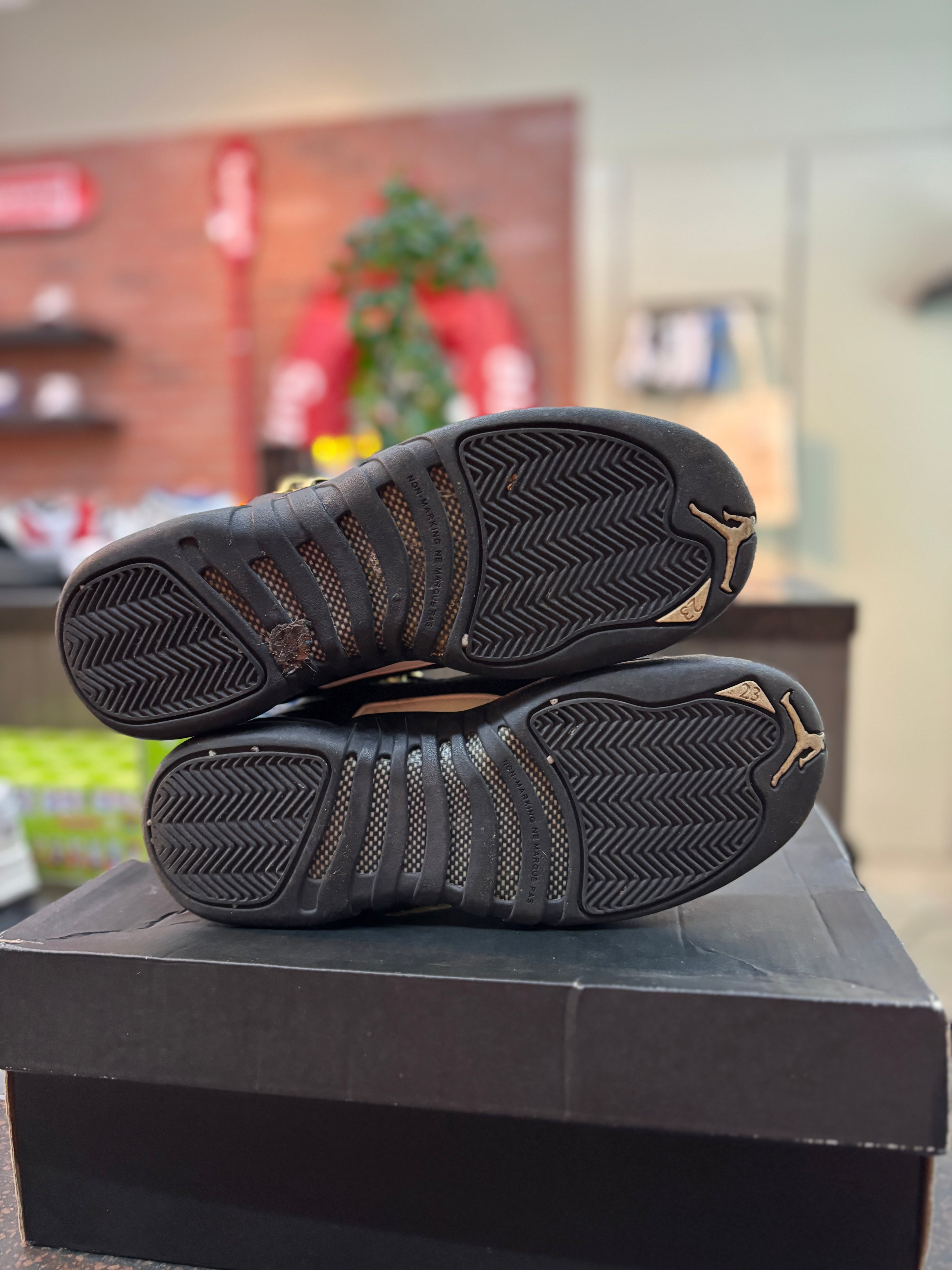 Jordan 12 "The Master" Preowned Size 6.5Y
