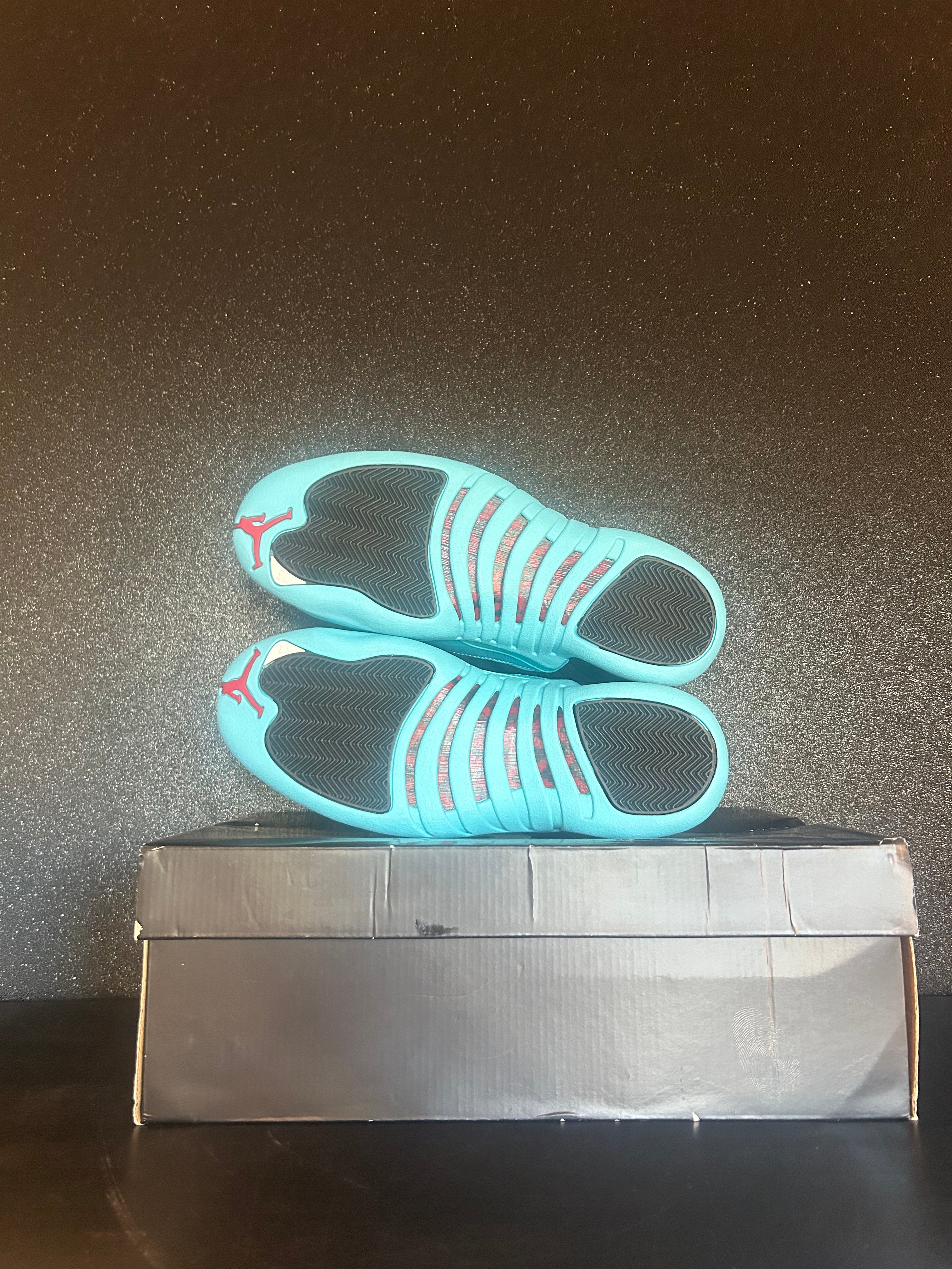Jordan 12 Retro Gamma Blue Size 9.5 Brand New (Oxidized)