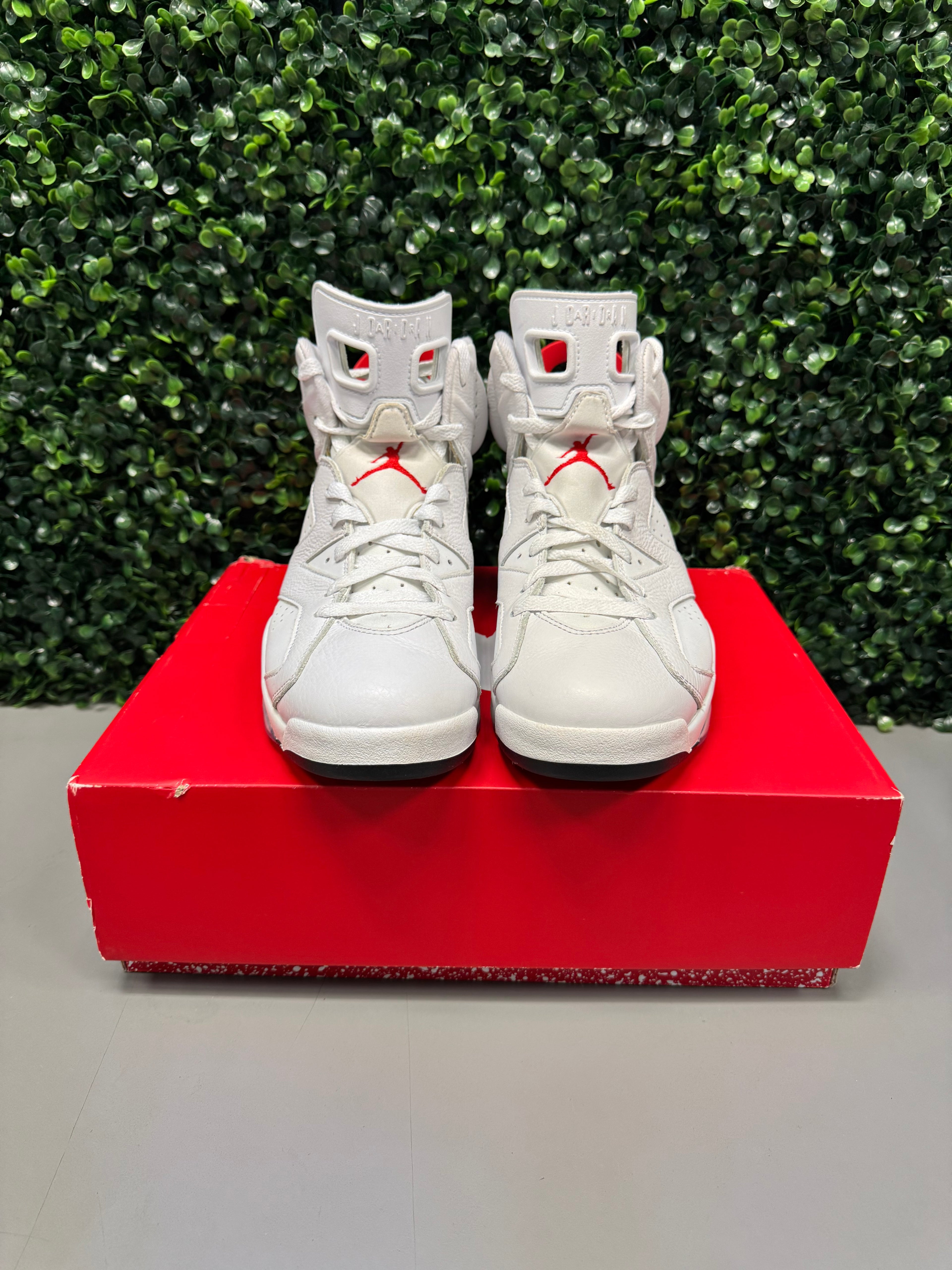 Jordan 6 Retro "Red Oreo" Size 9.5 Preowned