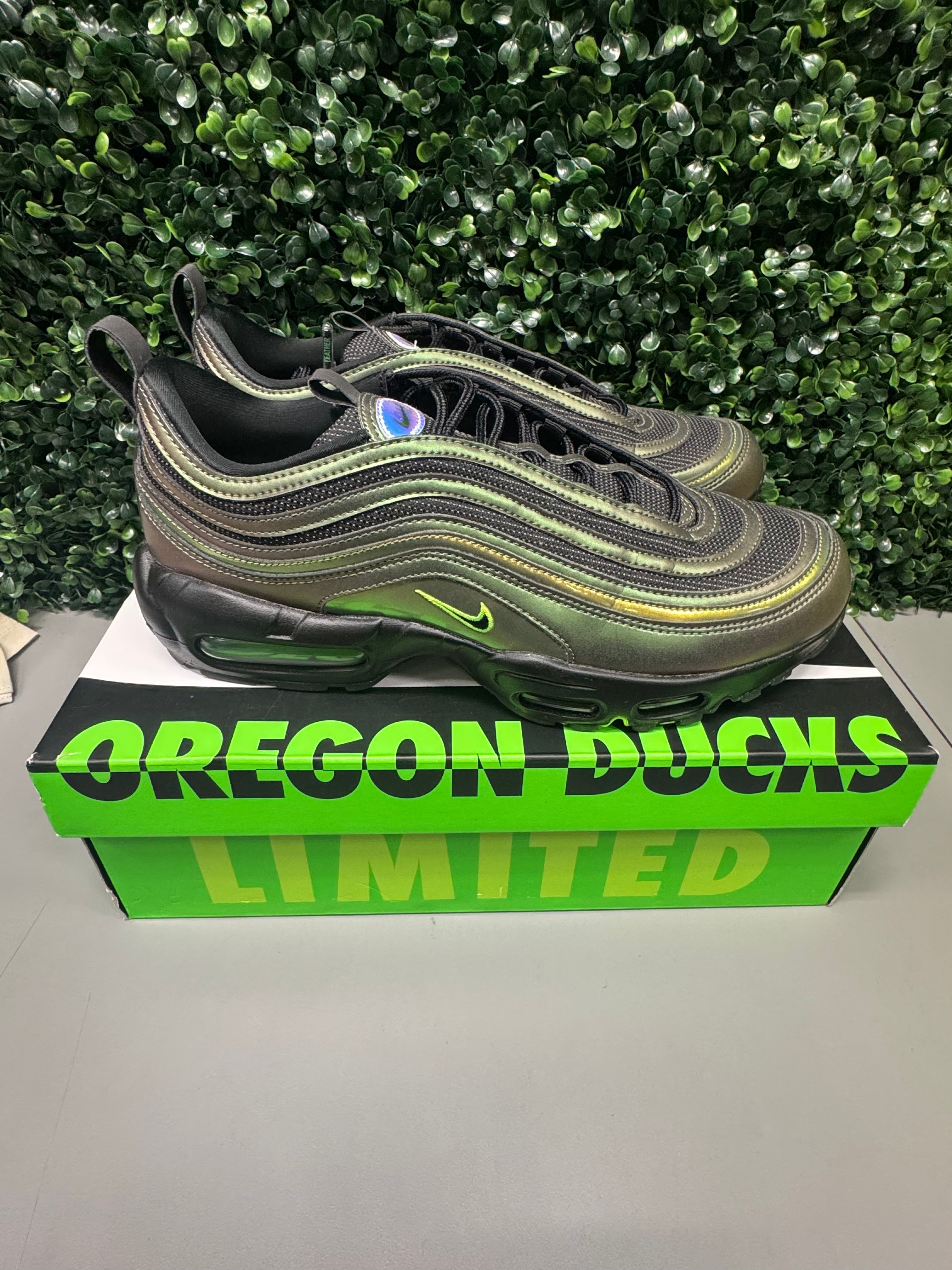 Nike Air Max 95/97 "Ducks Of A Feather Storm" Size 10 Preowned