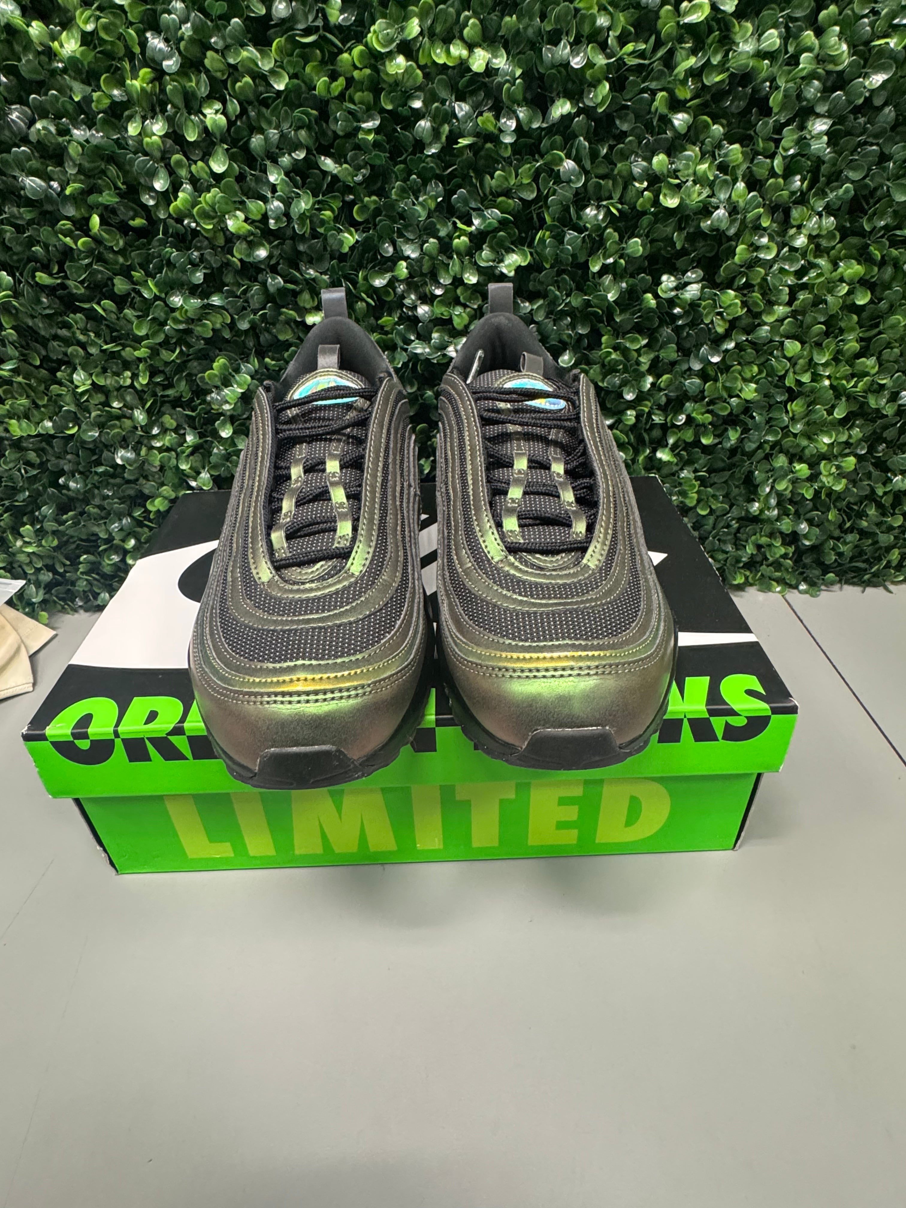 Nike Air Max 95/97 "Ducks Of A Feather Storm" Size 10 Preowned