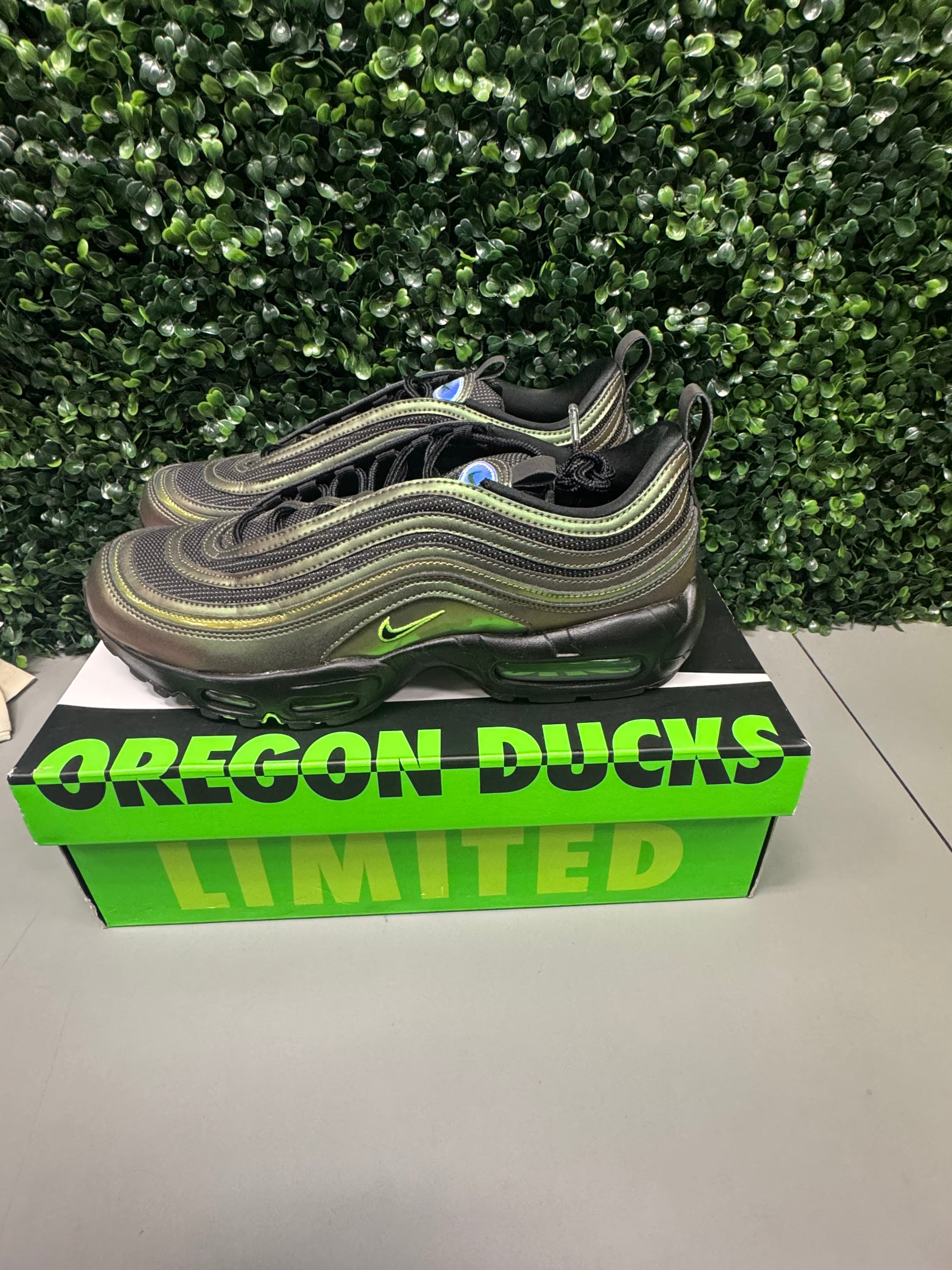 Nike Air Max 95/97 "Ducks Of A Feather Storm" Size 10 Preowned