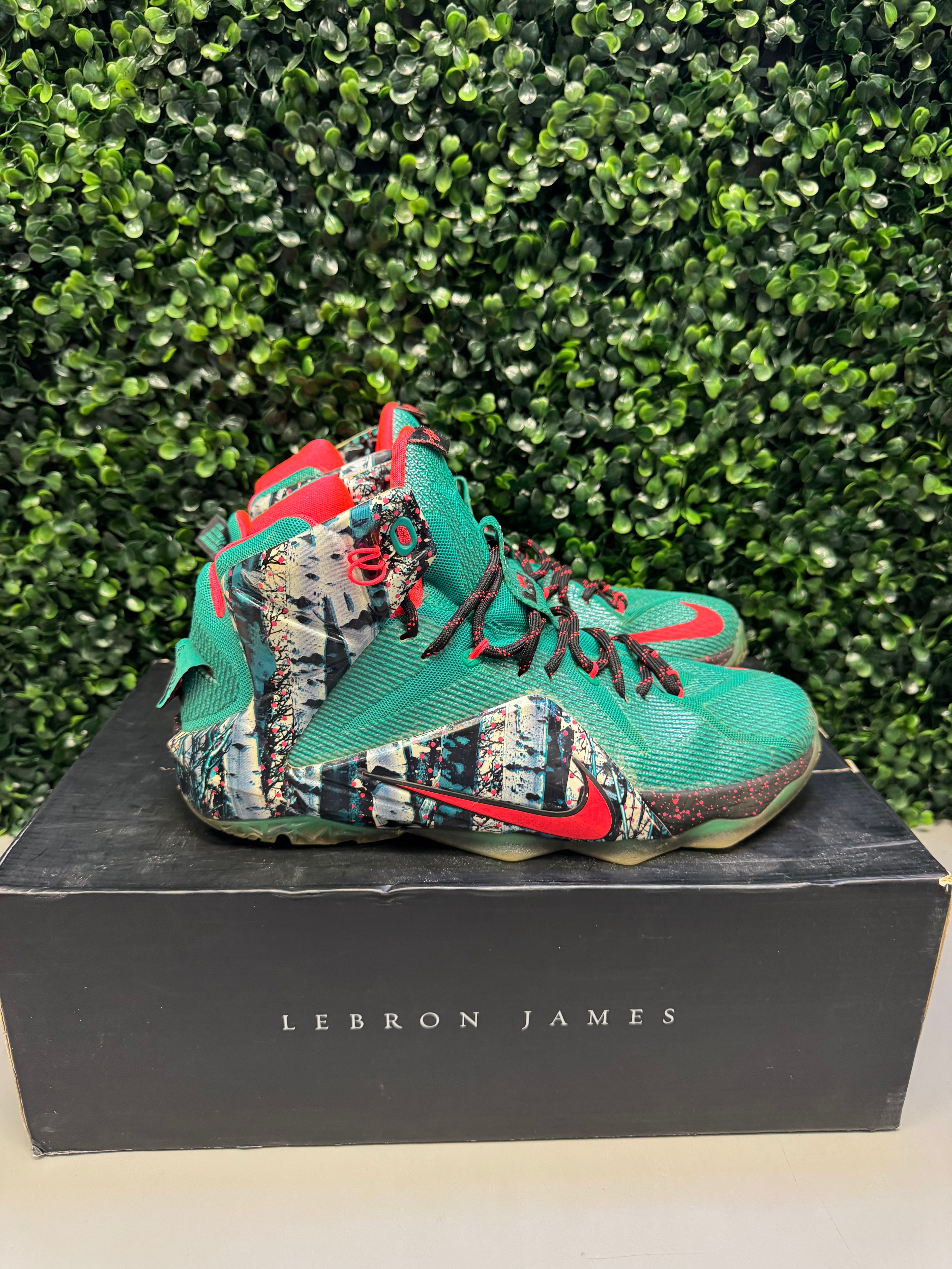 Nike LeBron 12 "Akron Birch" Size 9.5 Preowned