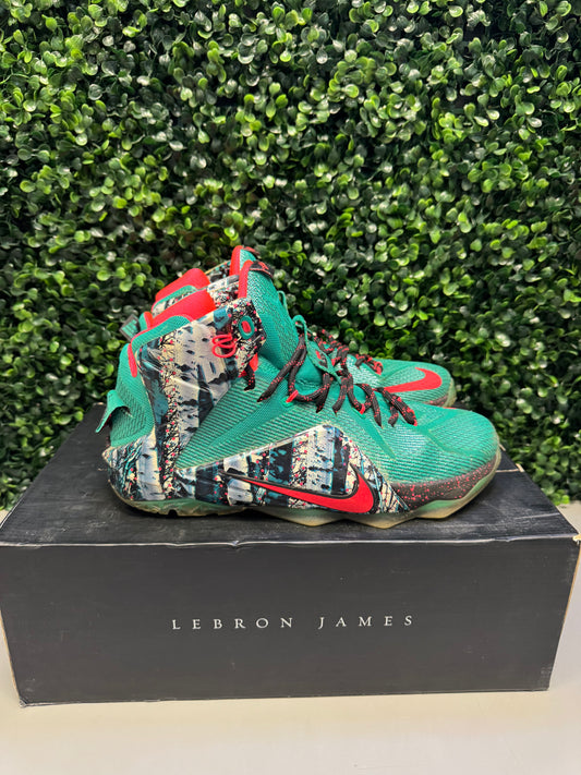 Nike LeBron 12 "Akron Birch" Size 9.5 Preowned